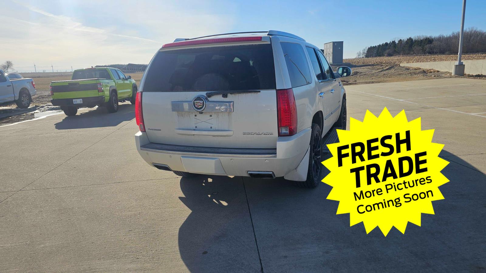 Used 2014 White Diamond Tricoat Cadillac Platinum image 6