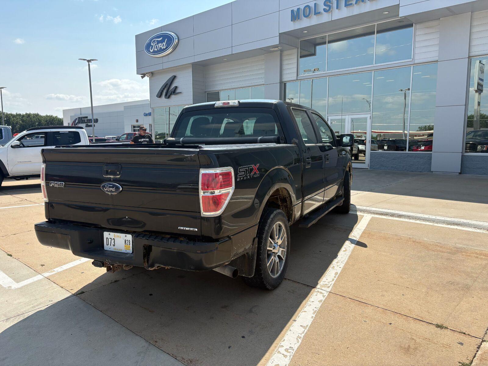 Used 2014 Tuxedo Black Metallic Ford STX image 5