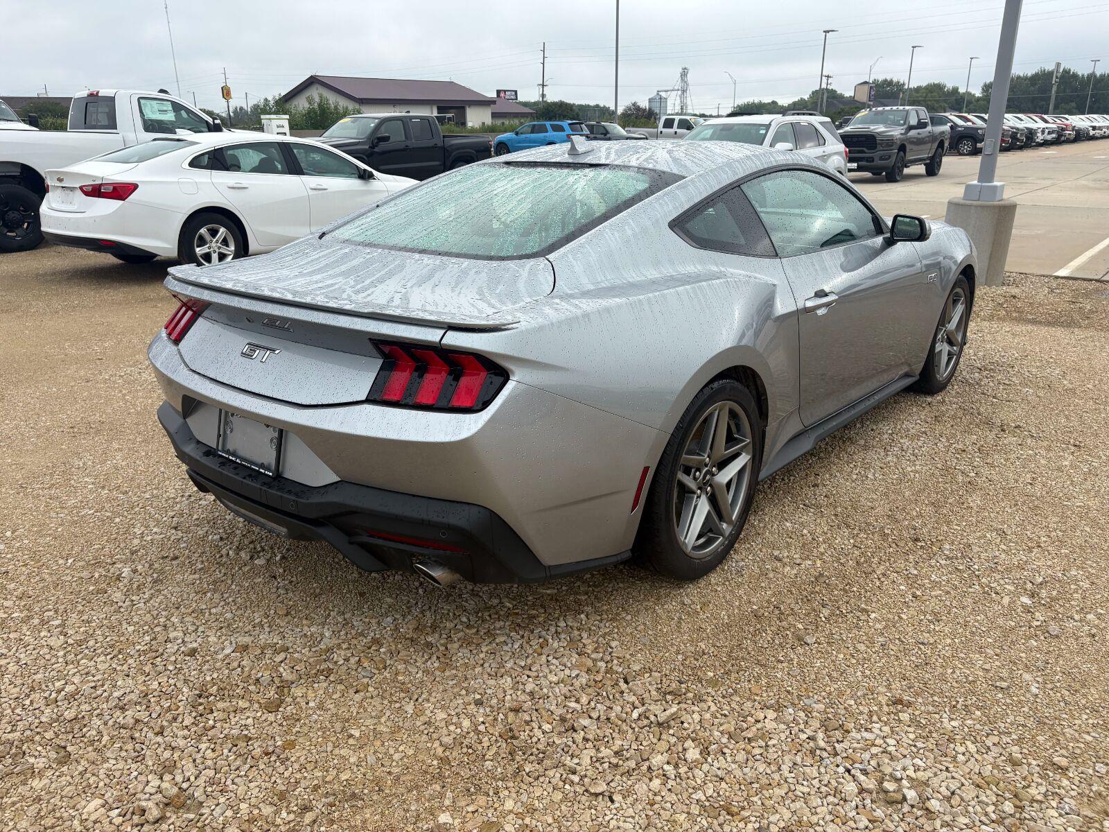 Used 2025 Iconic Silver Ford GT Premium image 6