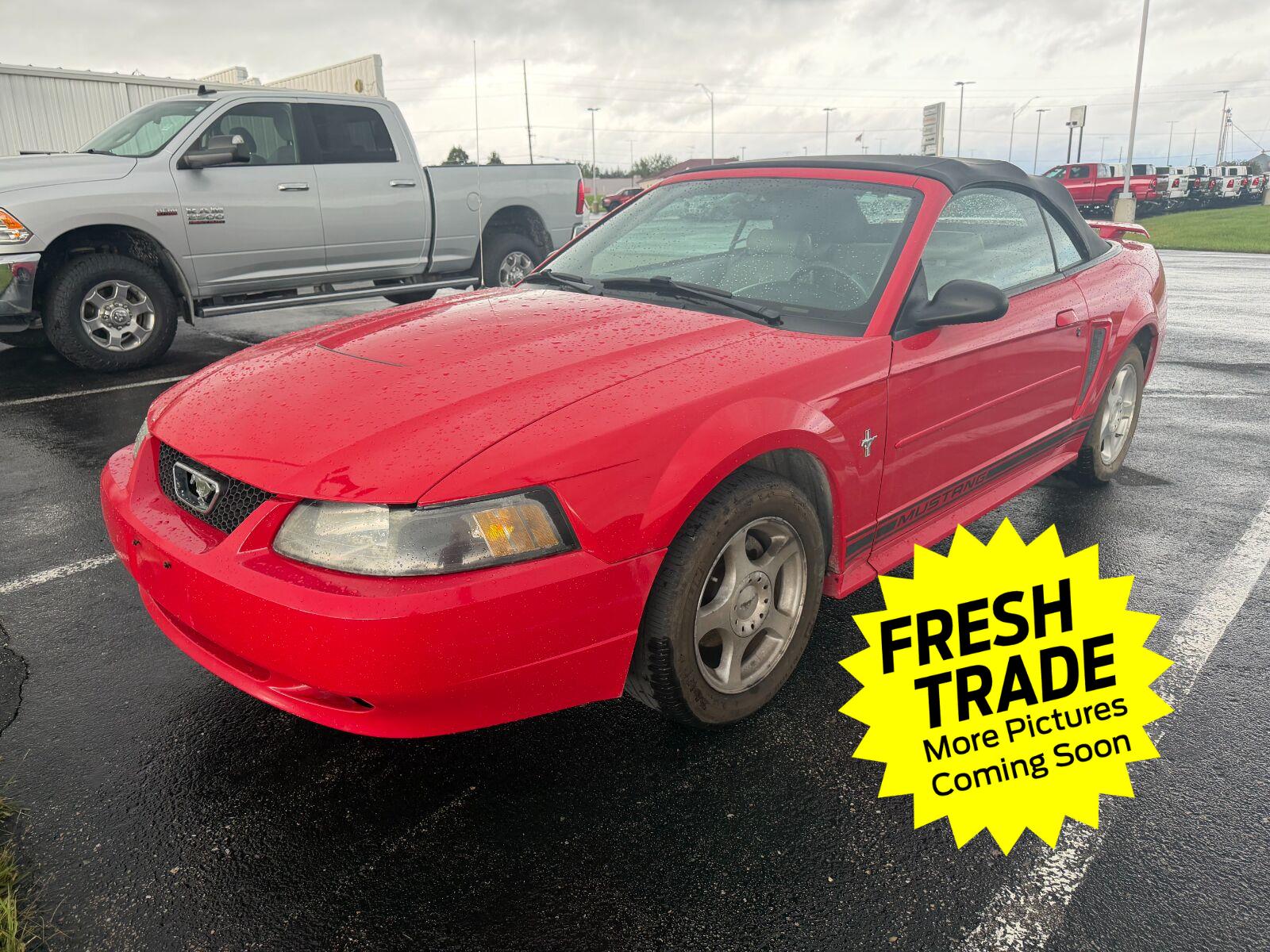  2003 Ford Mustang Convertible Rear-Wheel Drive 5-Speed Manual Overdrive