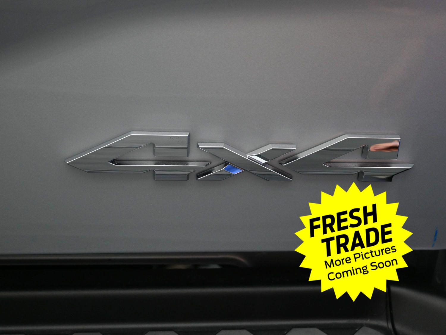 Used 2026 Silver Zynith Ram Big Horn image 14