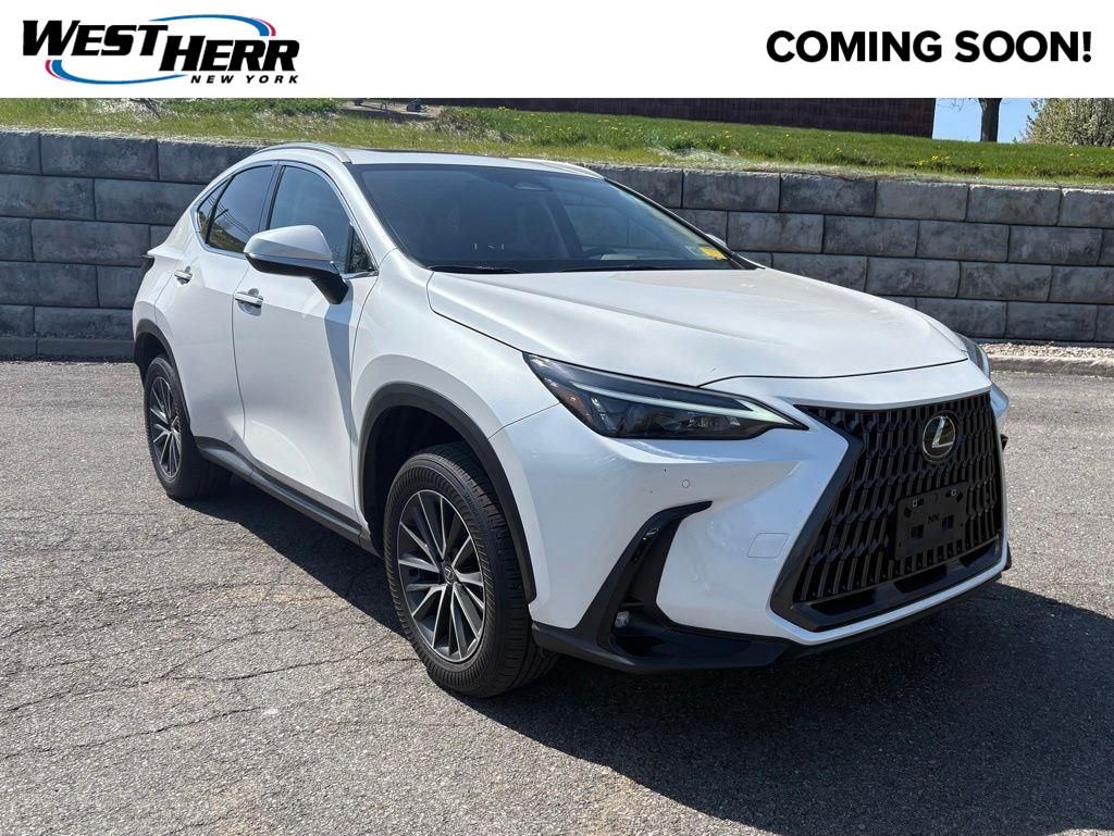 2025 Lexus NX 350h 350h Premium AWD's photo
