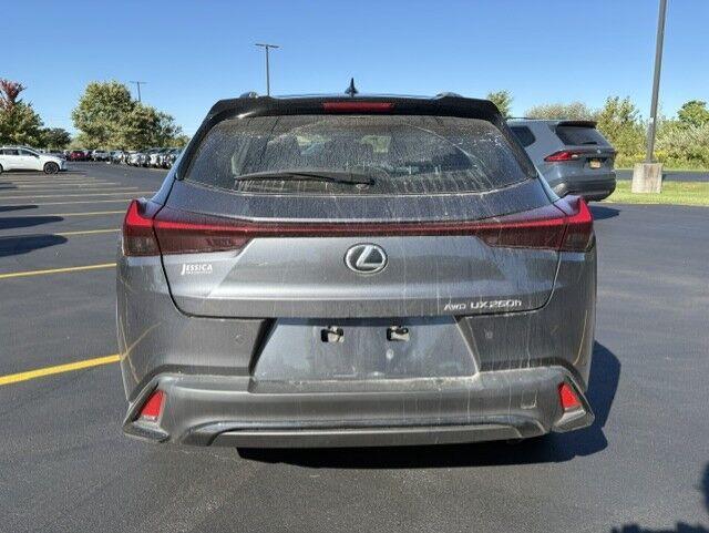 Used 2024 Cloudburst Gray with Obsidian Roof Lexus UX 250h F SPORT Design image 11