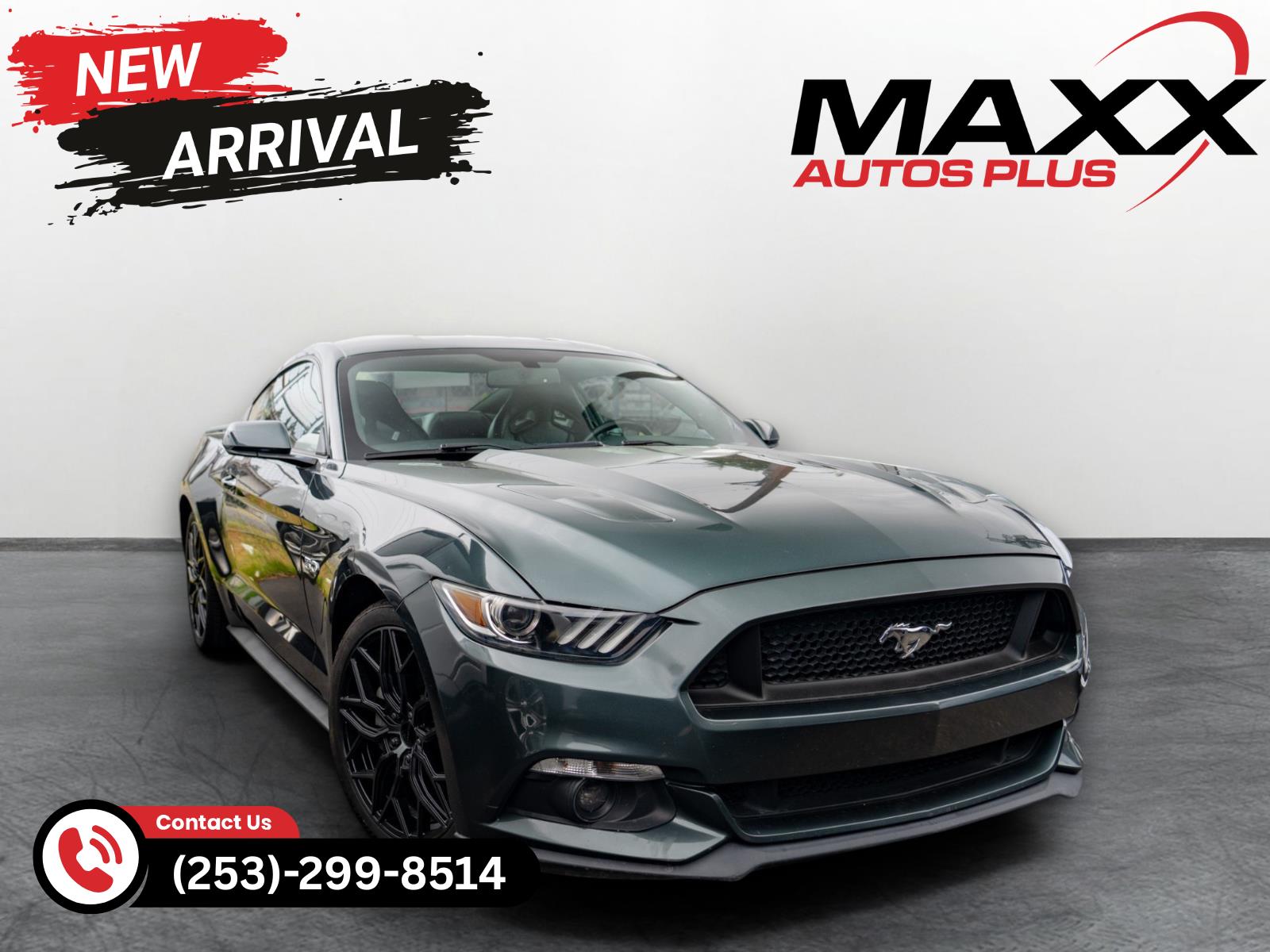 Gray Guard 2015 Ford Mustang Coupe Rear-Wheel Drive 6-Speed Manual