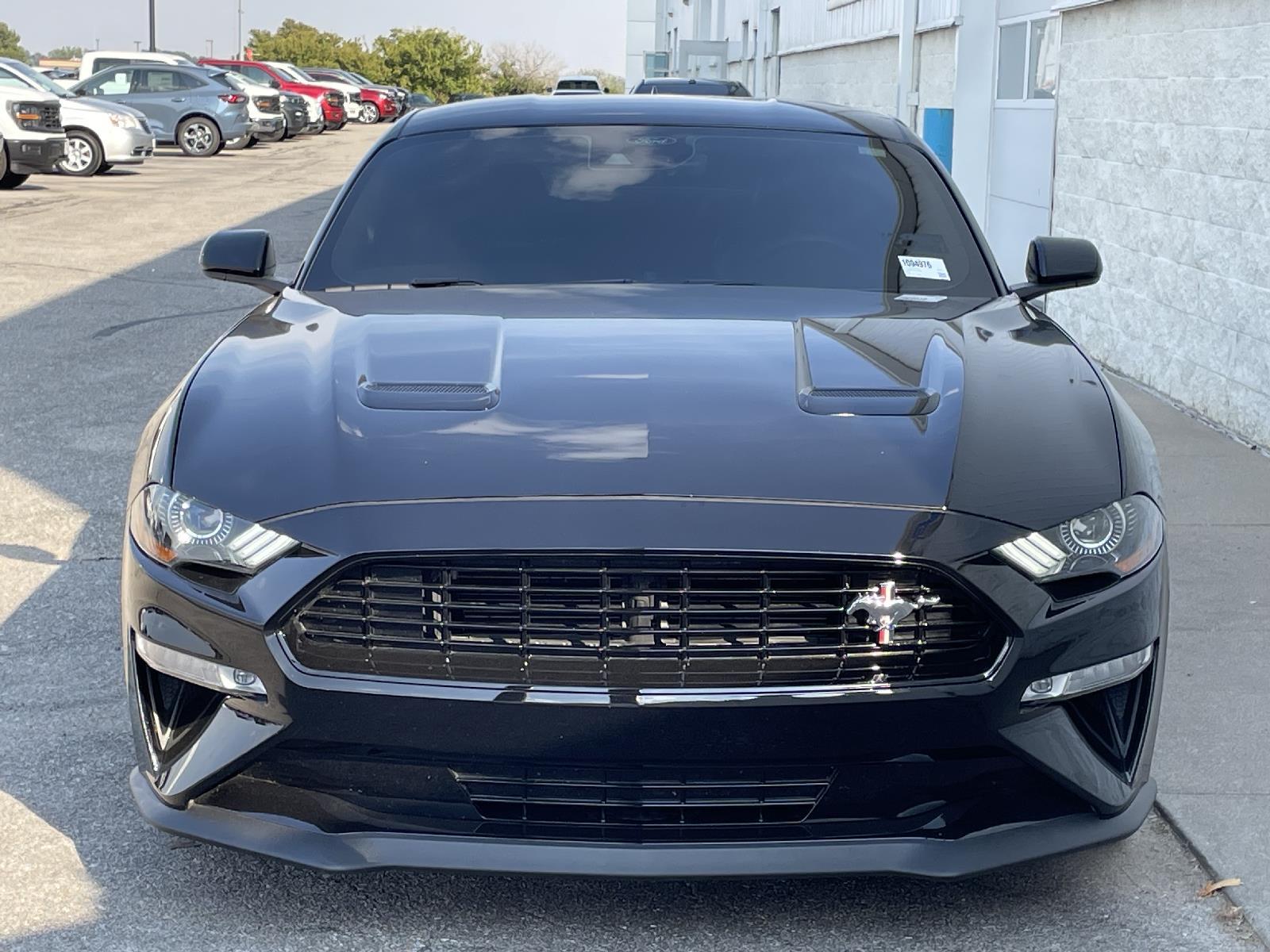 Used 2021 Ford Mustang GT Premium Coupe for sale in Lincoln NE