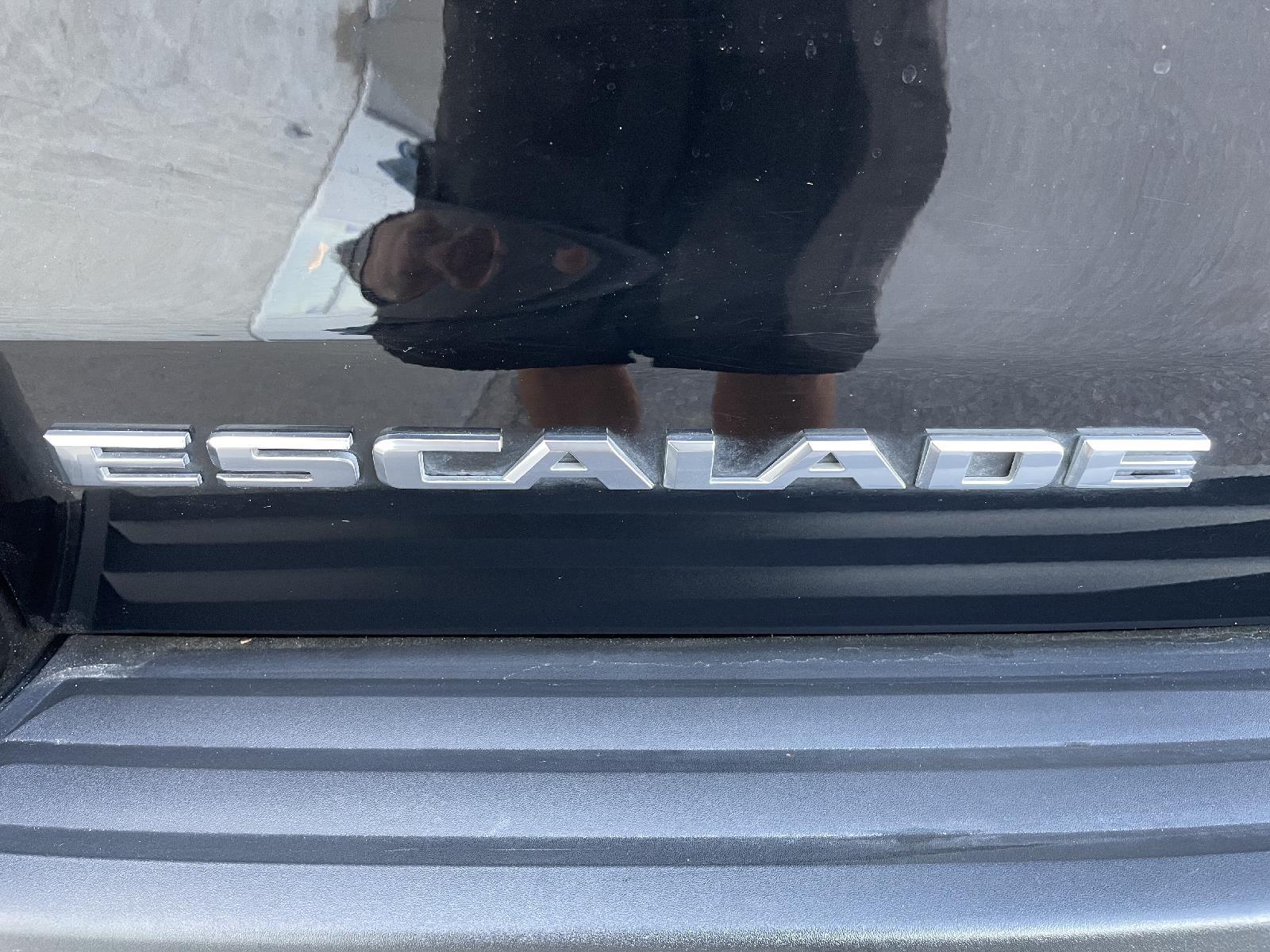 Used 2019 Cadillac Escalade Escalade SUV for sale in Lincoln NE