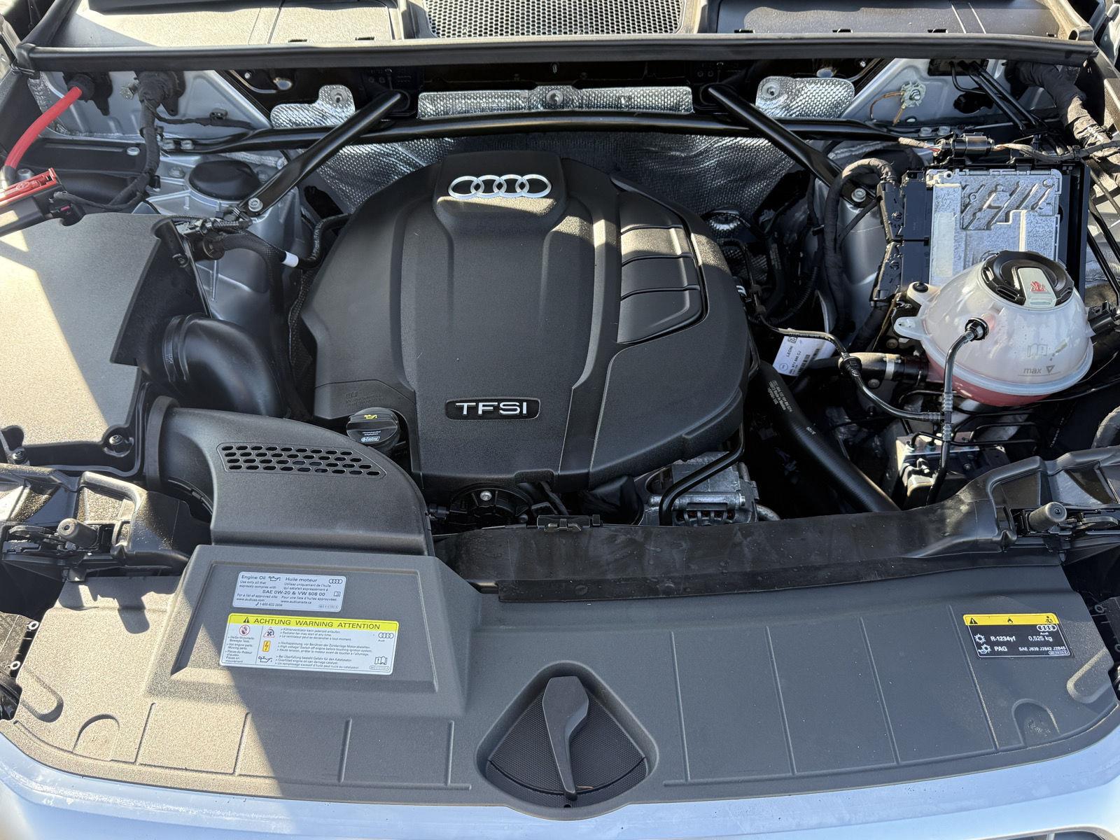 Used 2019 Audi Q5 SUV