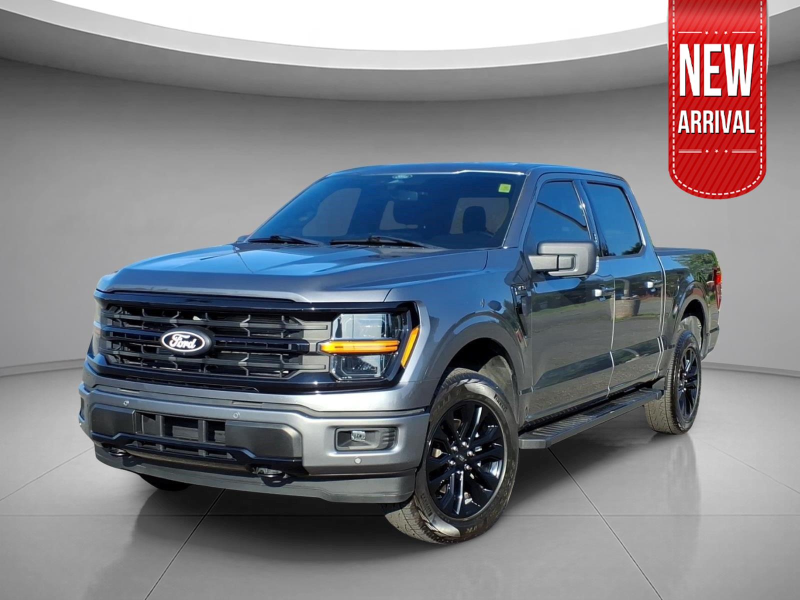 Carbonized Gray Metallic 2024 Ford F-150 Pickup Truck Four-Wheel Drive Automatic