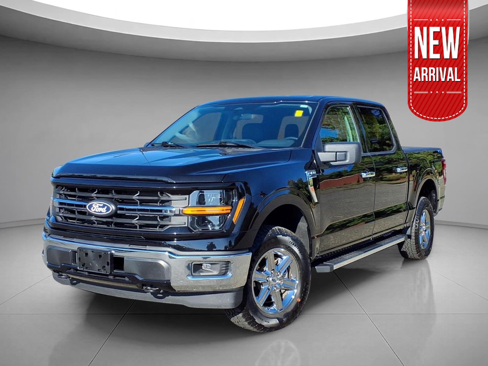 Black 2025 Ford F-150 Pickup Truck Four-Wheel Drive