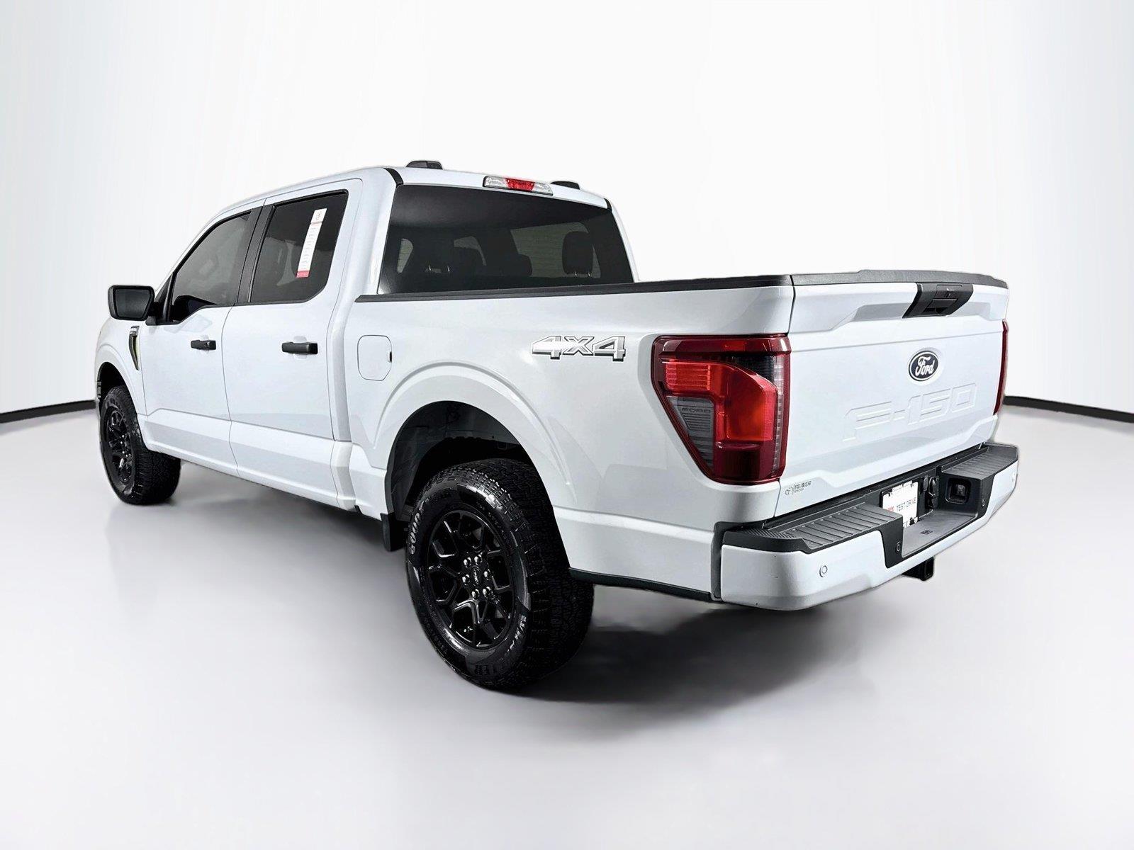2025 Ford F-150 STX photo 10