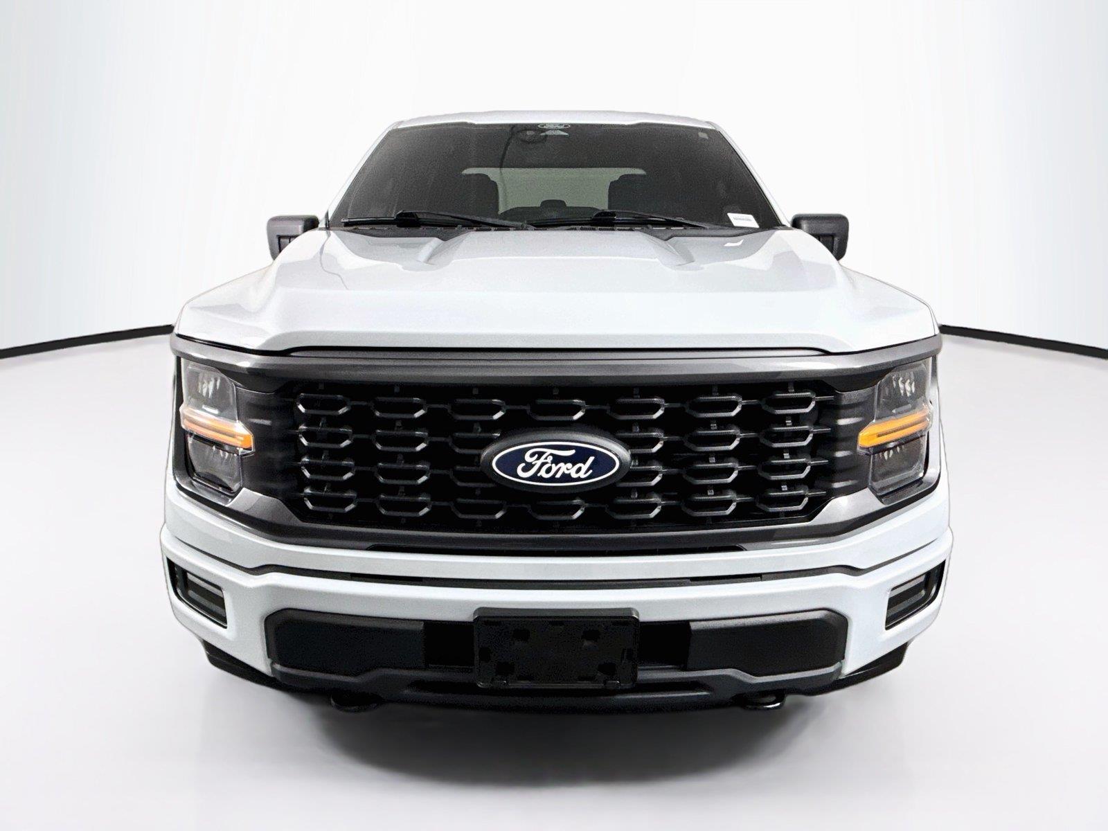 2025 Ford F-150 STX photo 6