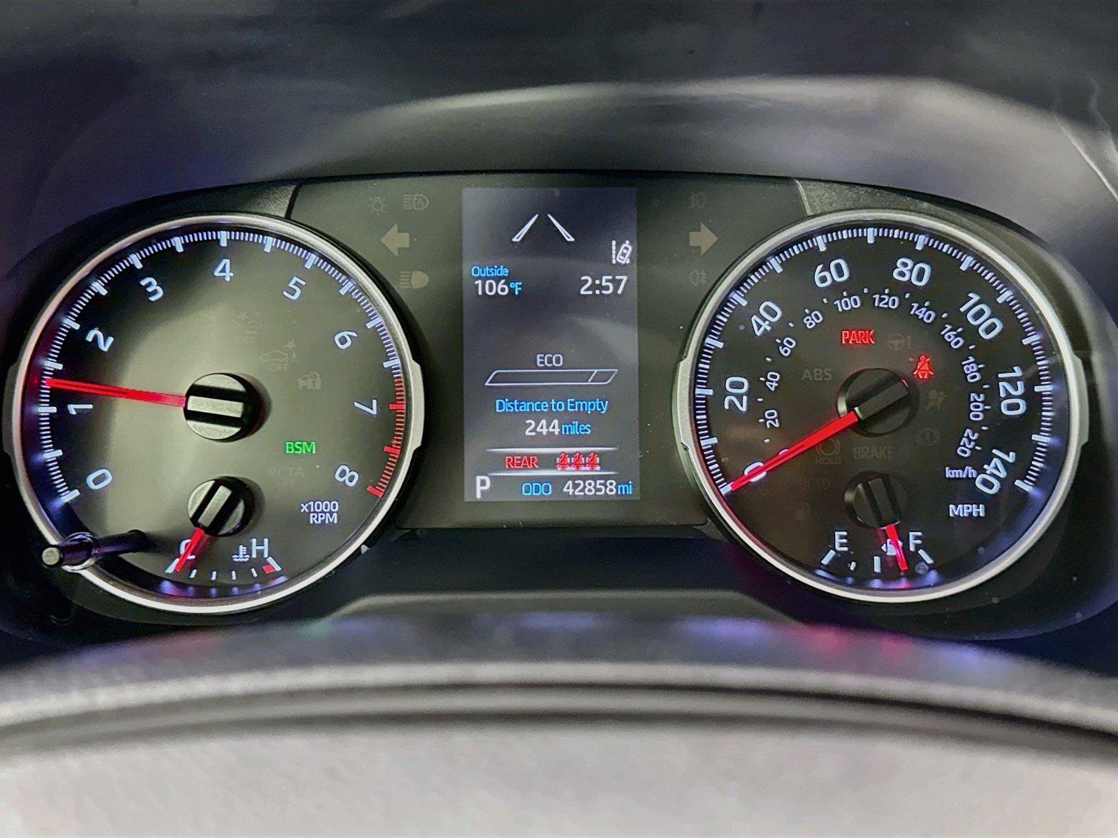 2019 Toyota RAV4 XLE photo 17