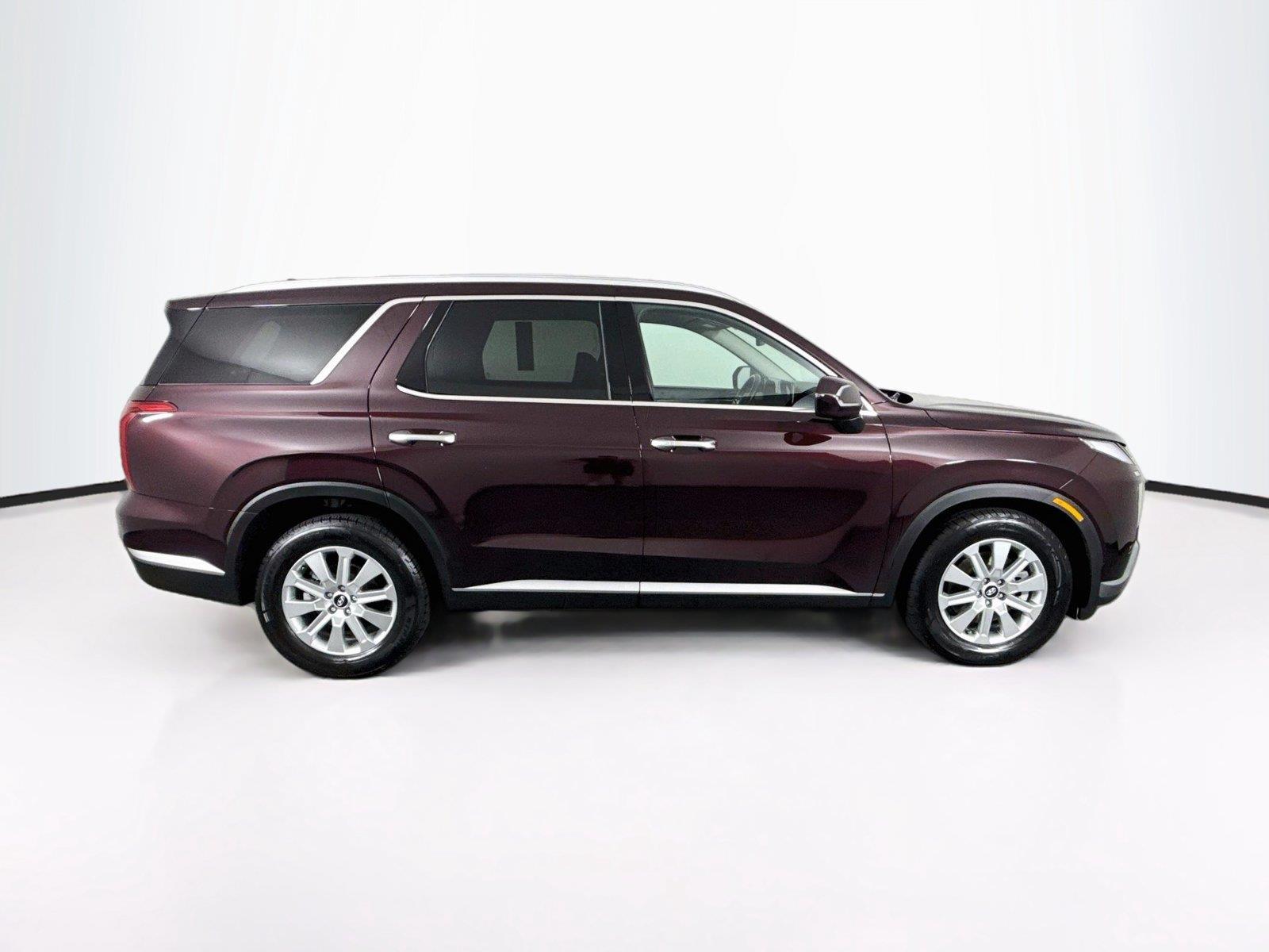 2025 Hyundai Palisade SEL photo 10