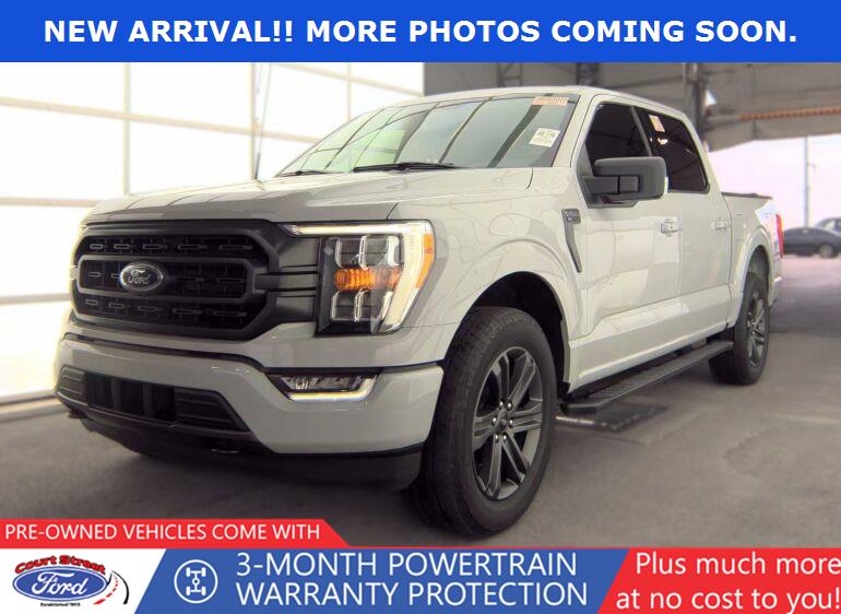 Avalanche Gray 2023 Ford F-150 Pickup Truck Four-Wheel Drive Automatic