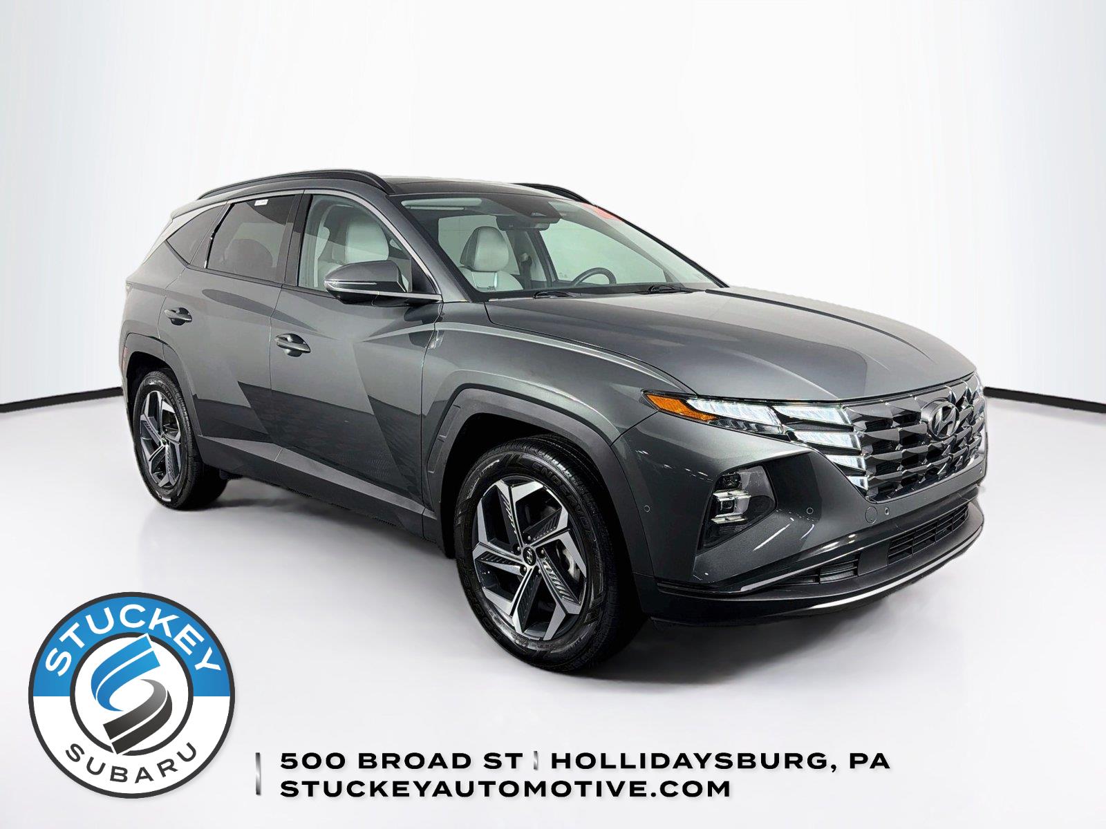 Amazon Gray 2024 Hyundai Tucson Hybrid SUV / Crossover All-Wheel Drive Automatic