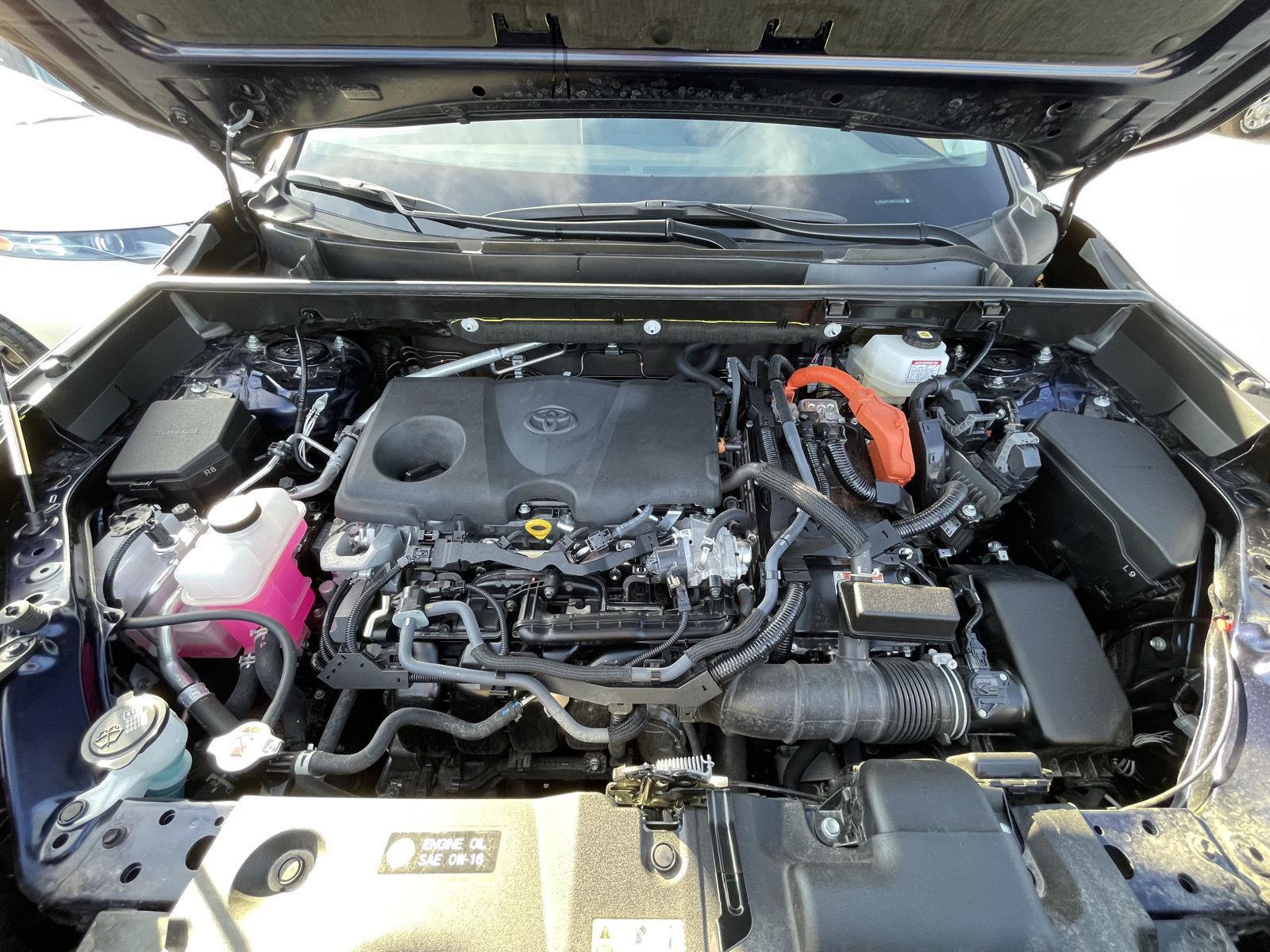 Used 2024 Toyota RAV4 for sale in Lincoln NE