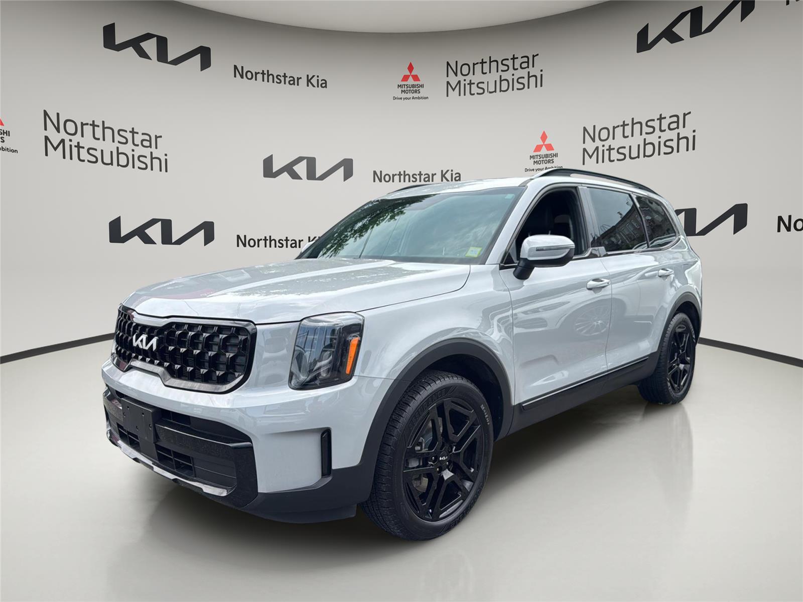 Wolf Gray 2024 Kia Telluride SUV / Crossover All-Wheel Drive Automatic