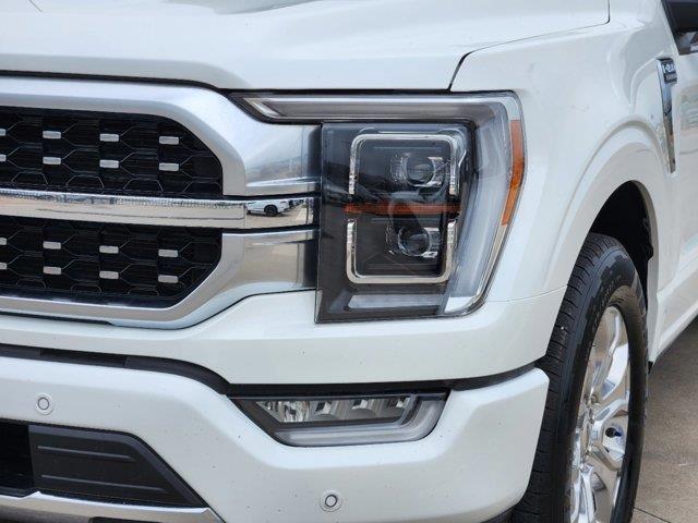 2023 Ford F-150 Platinum 5