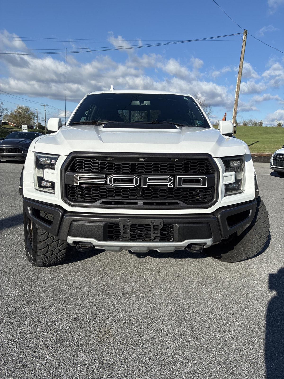 2020 Ford F-150 Raptor - Photo 7