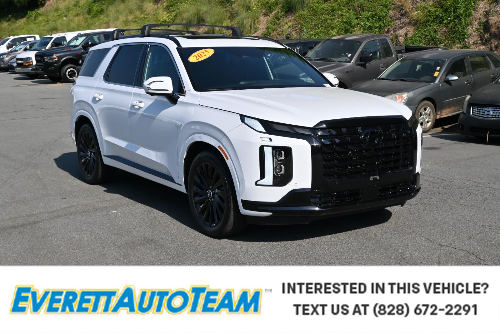 2025 Hyundai Palisade Calligraphy Night Edition AWD