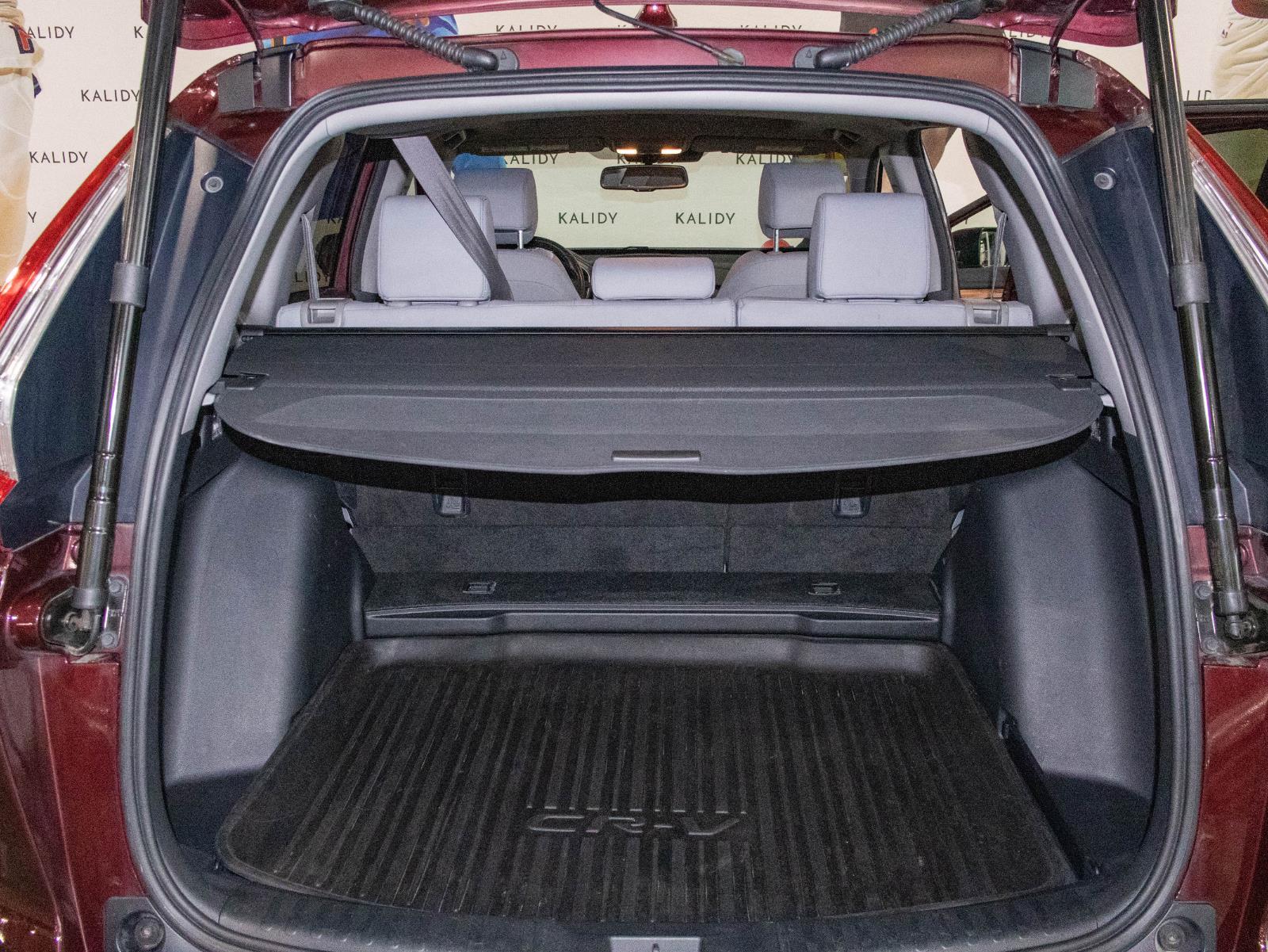 2019 Basque Red Pearl II Honda CR-V EX-L FWD SUV