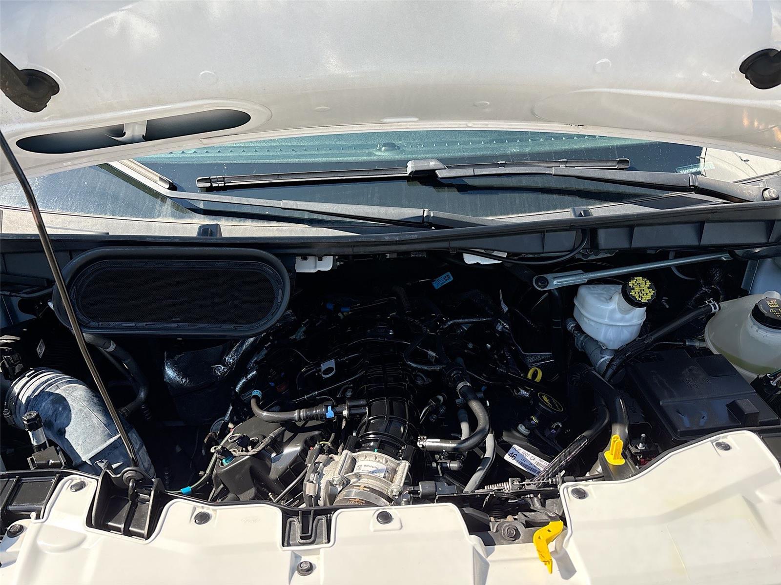 2023 Ford Transit Passenger Wagon XLT