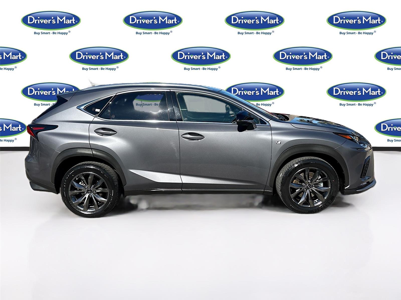 2020 Lexus NX NX 300 F SPORT