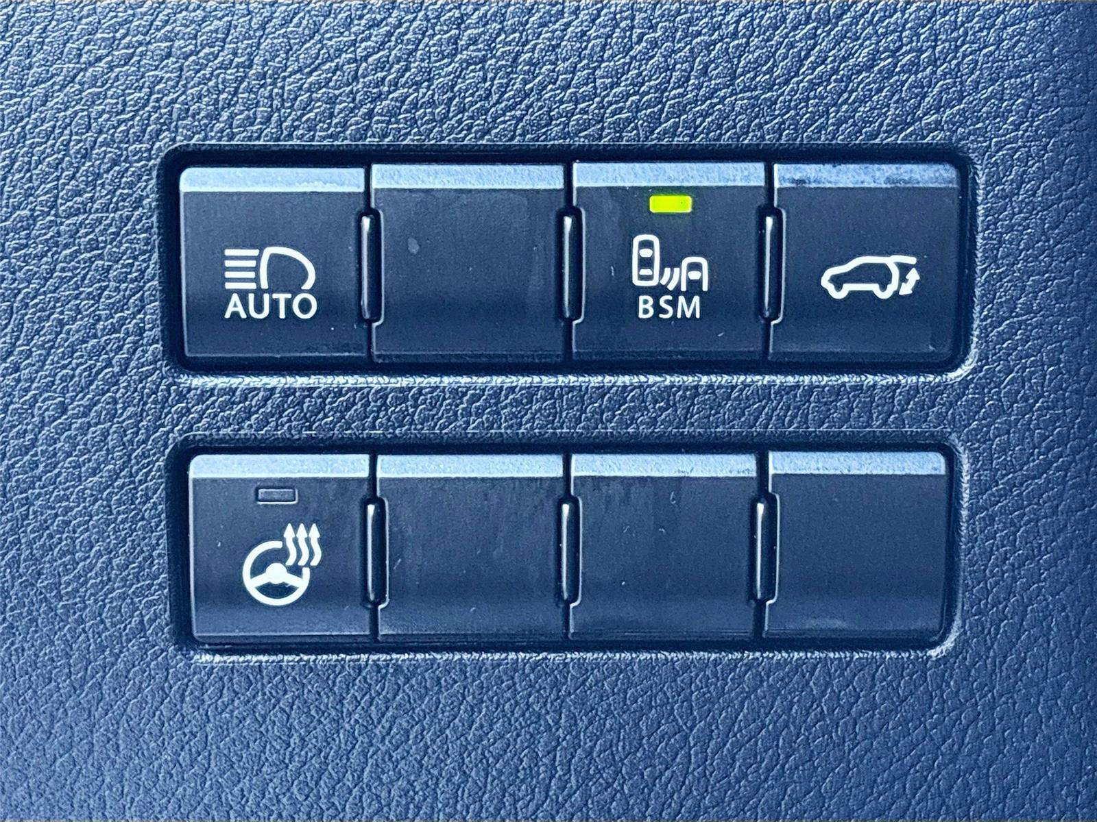 2020 Lexus NX NX 300 F SPORT