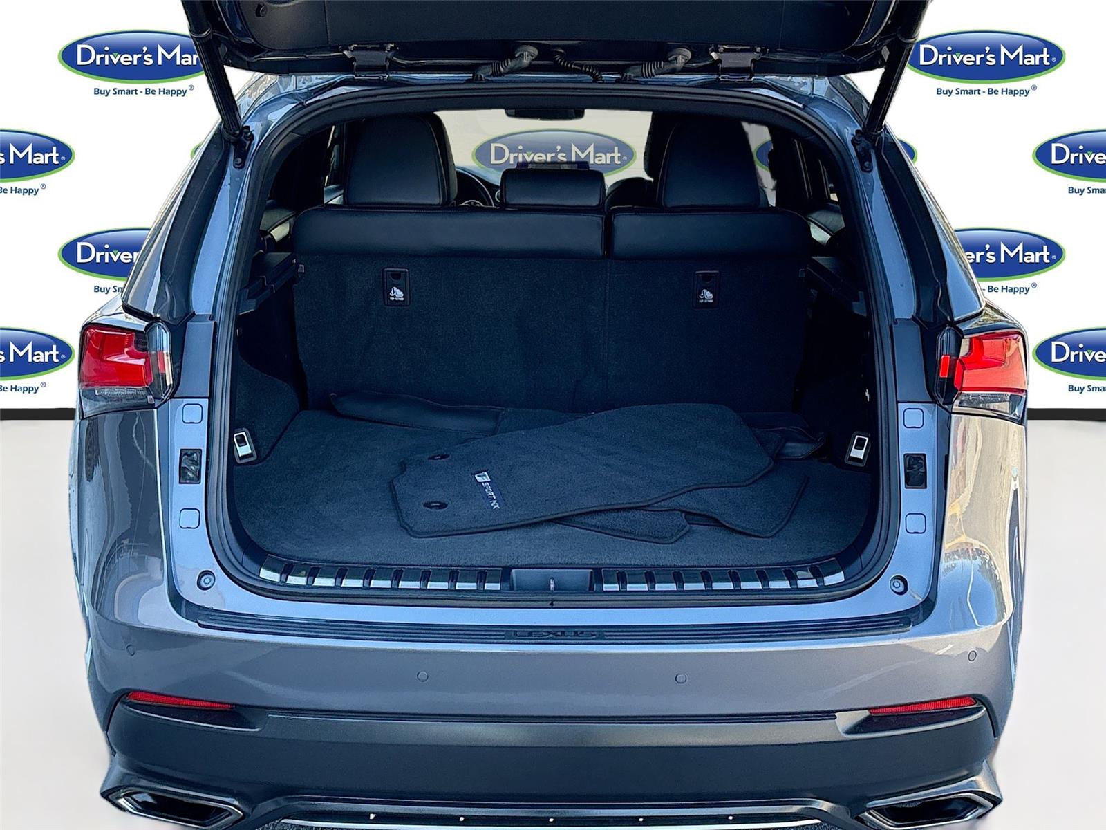 2020 Lexus NX NX 300 F SPORT