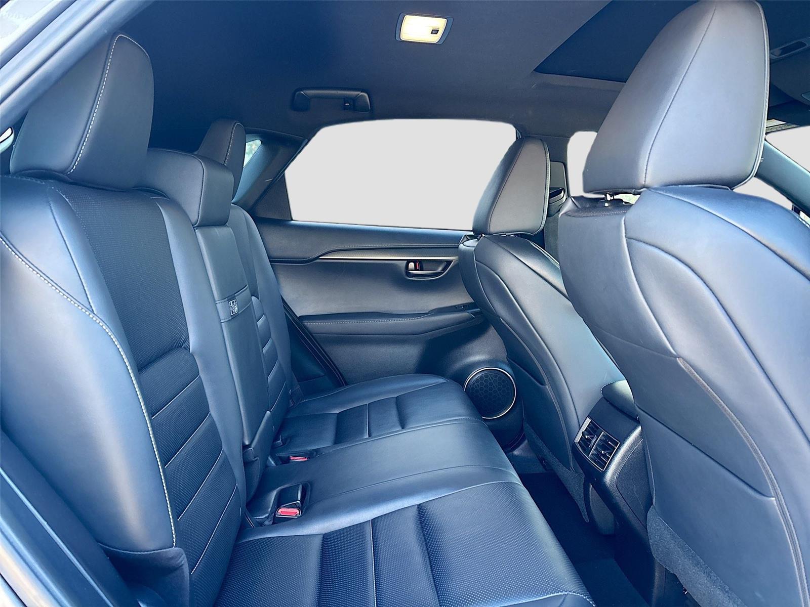 2020 Lexus NX NX 300 F SPORT