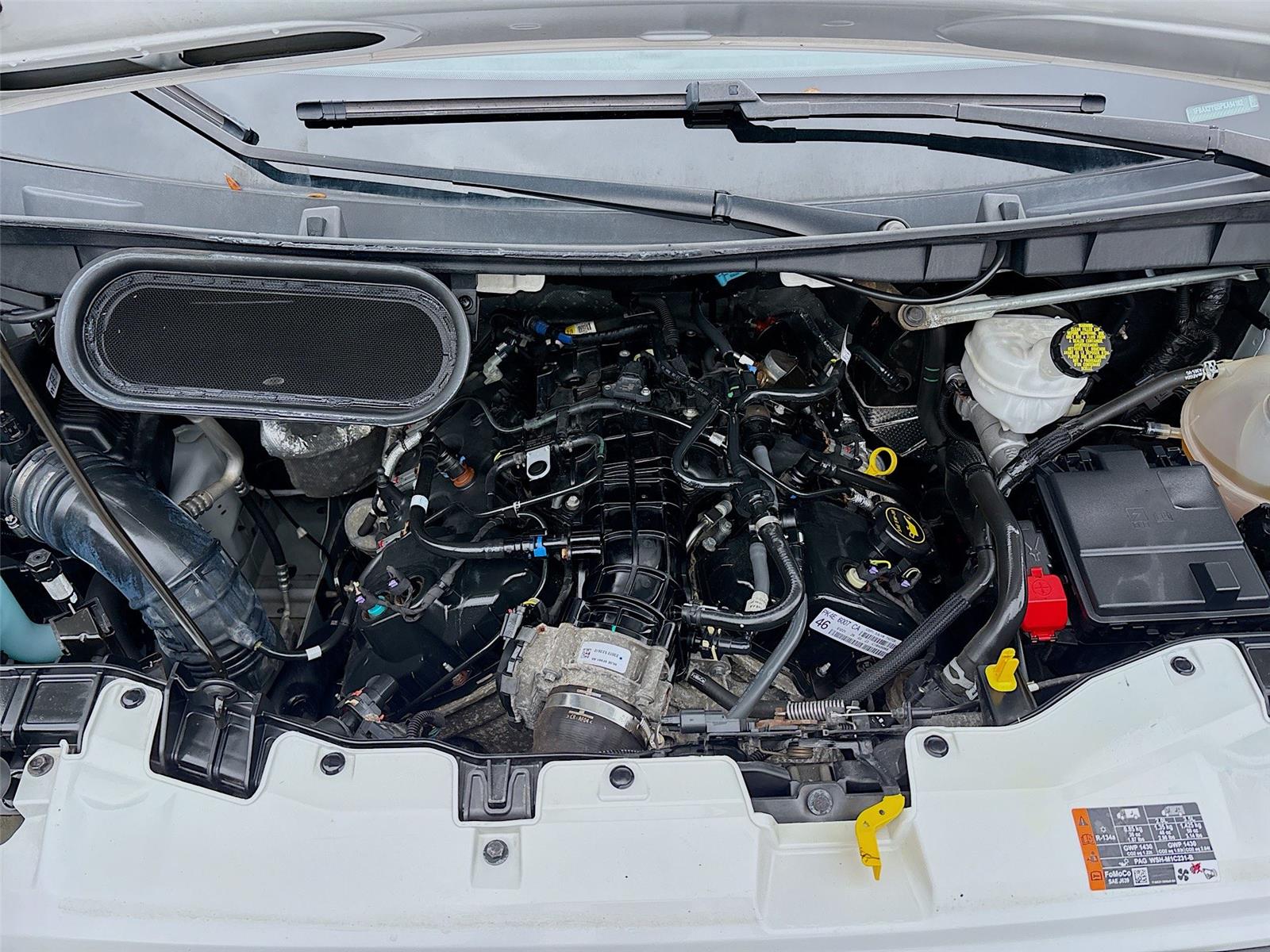 2023 Ford Transit Passenger Wagon XLT