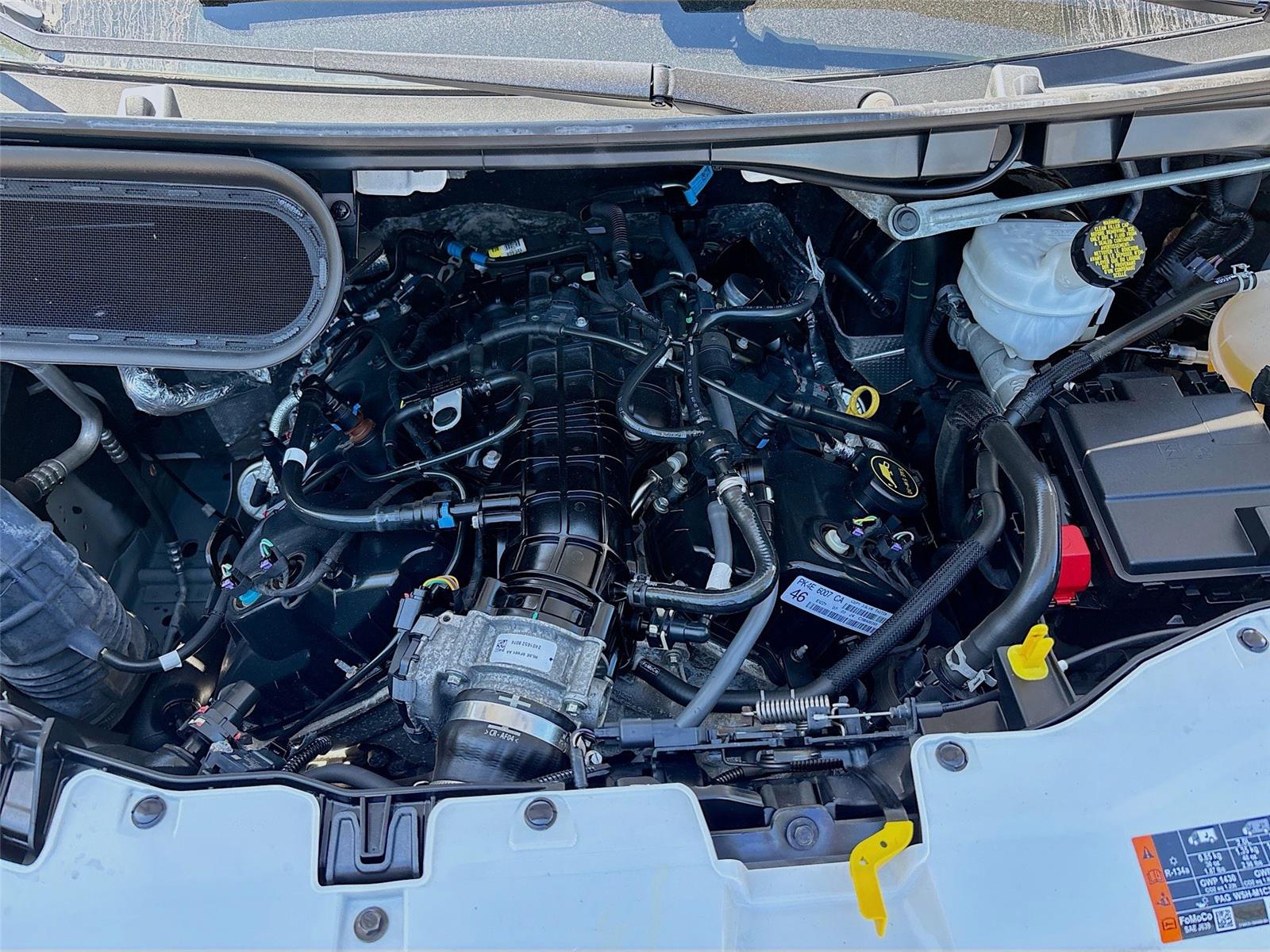 2024 Ford Transit Passenger Wagon XLT