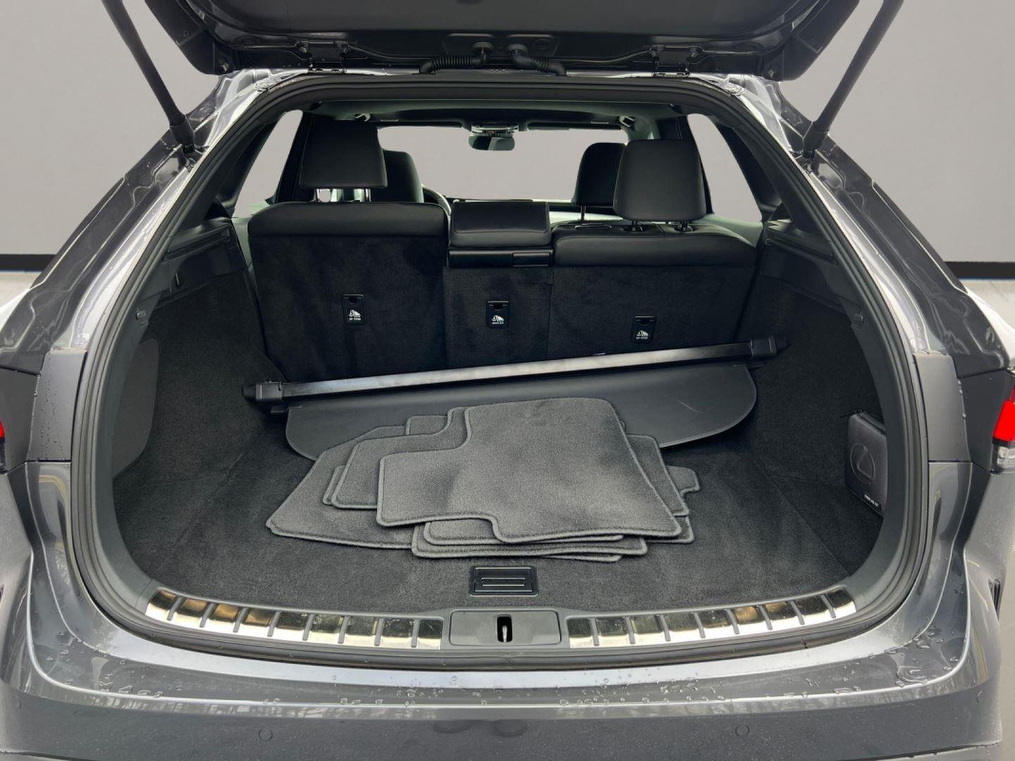 Used 2025 Lexus RX SUV