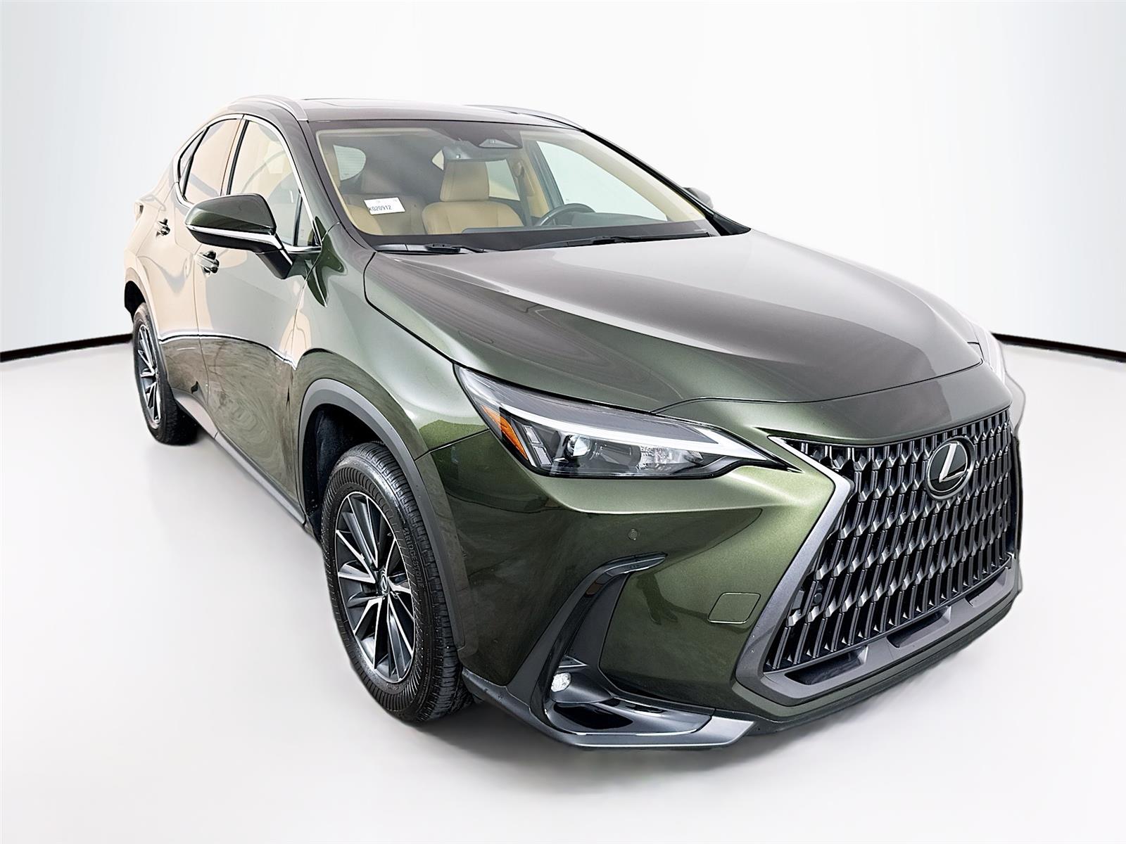 2025 Lexus NX 250's photo