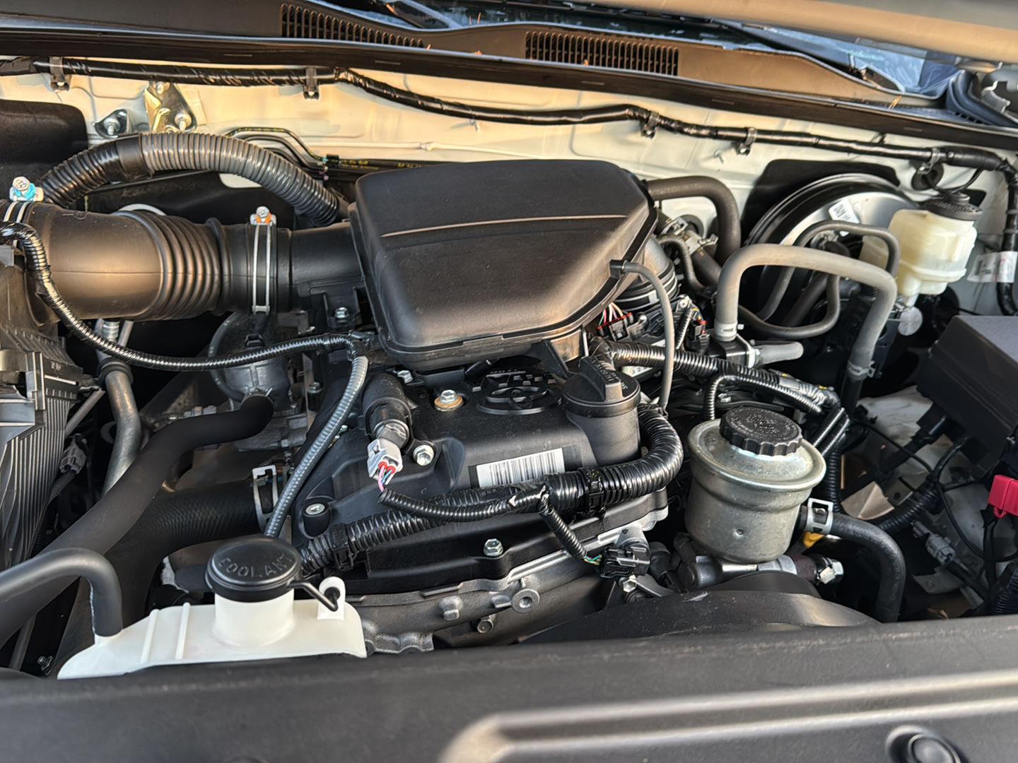 Used 2019 Toyota Tacoma Truck