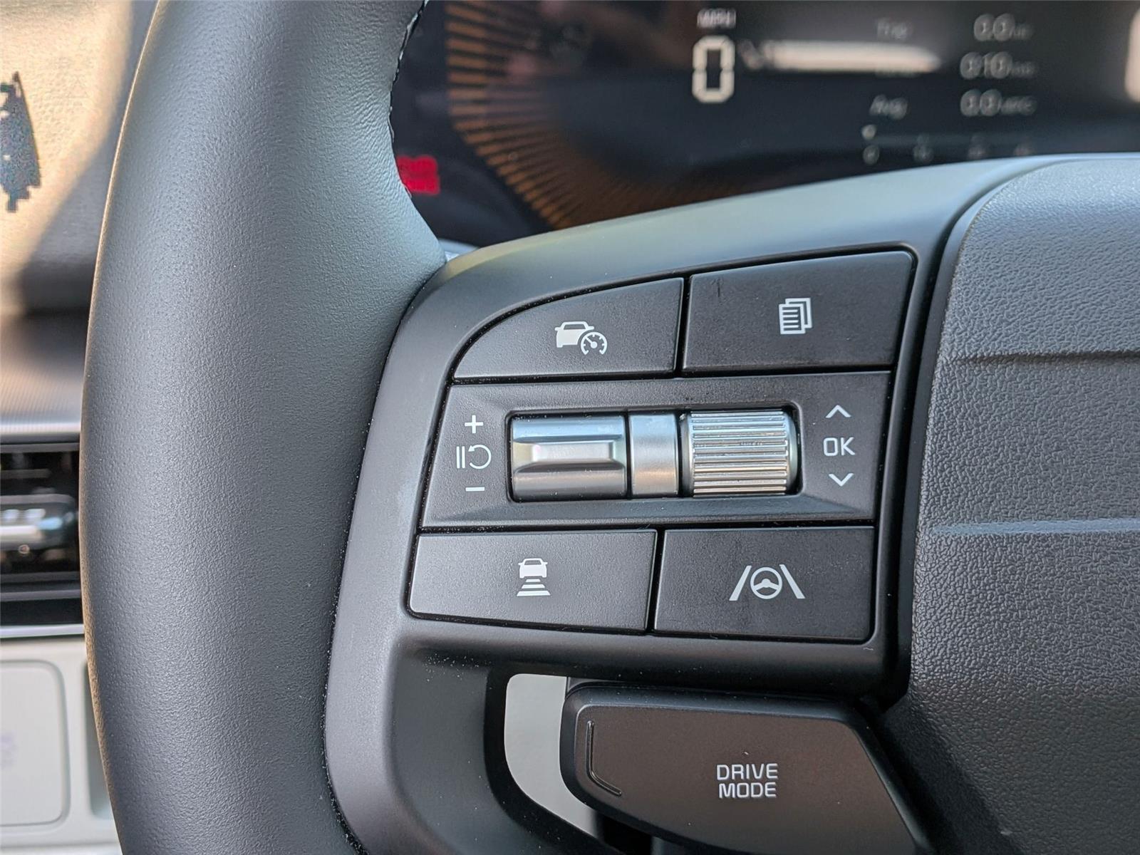 New 2026 Panthera Metal Gray Kia EX image 16