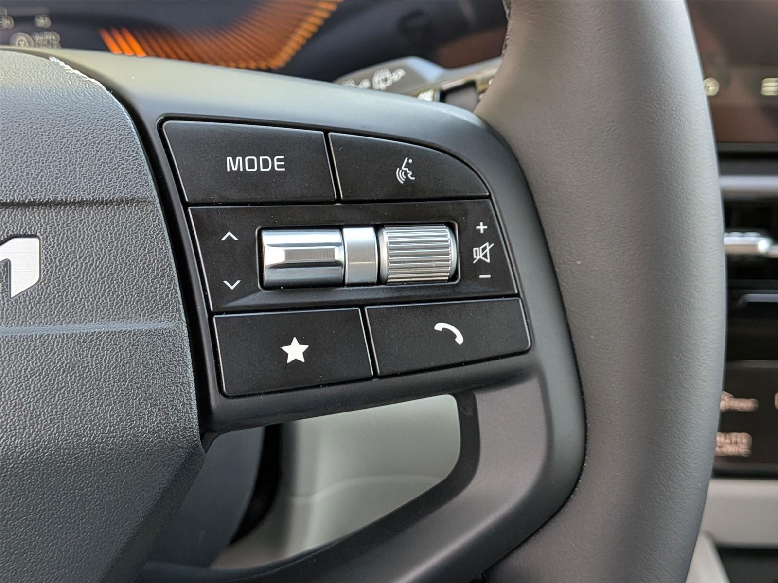 New 2026 Panthera Metal Gray Kia EX image 17