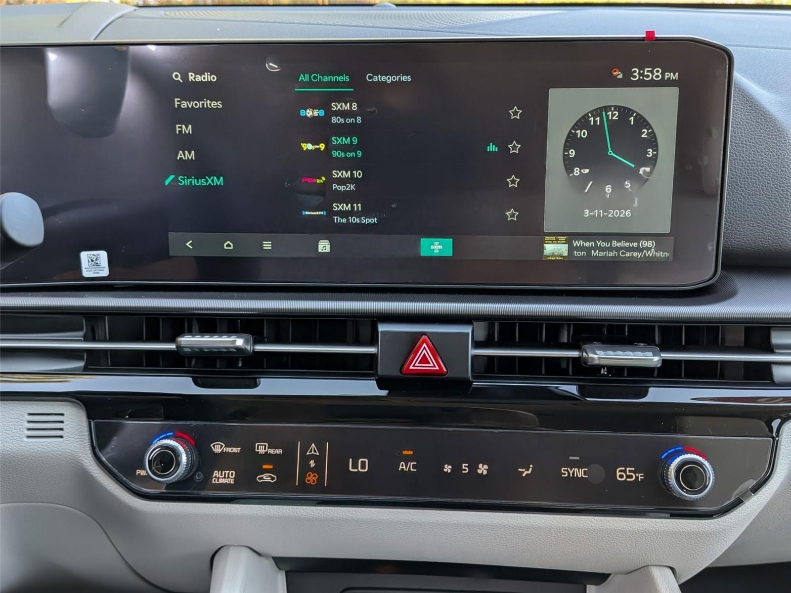 New 2026 Panthera Metal Gray Kia EX image 19