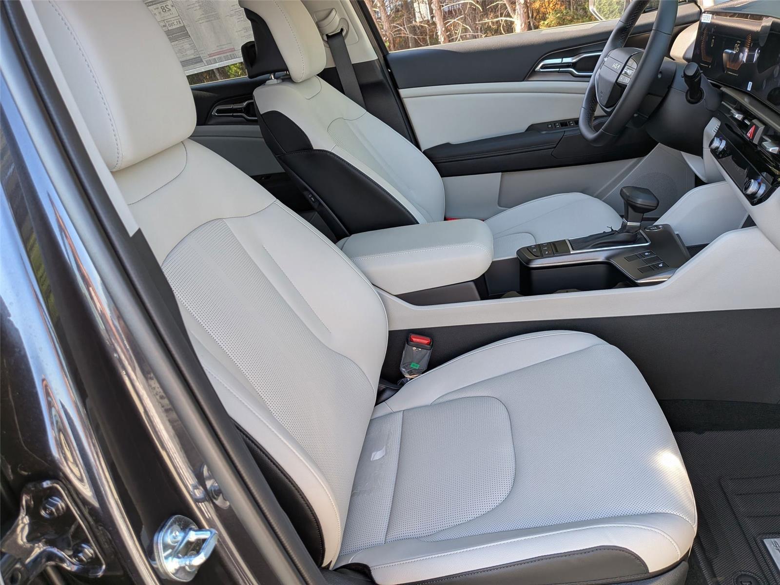 New 2026 Panthera Metal Gray Kia EX image 29