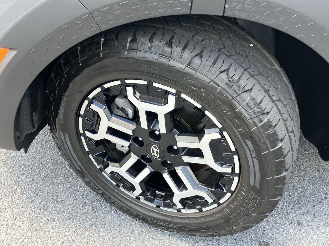 Used 2025 Hyundai Santa Cruz Truck