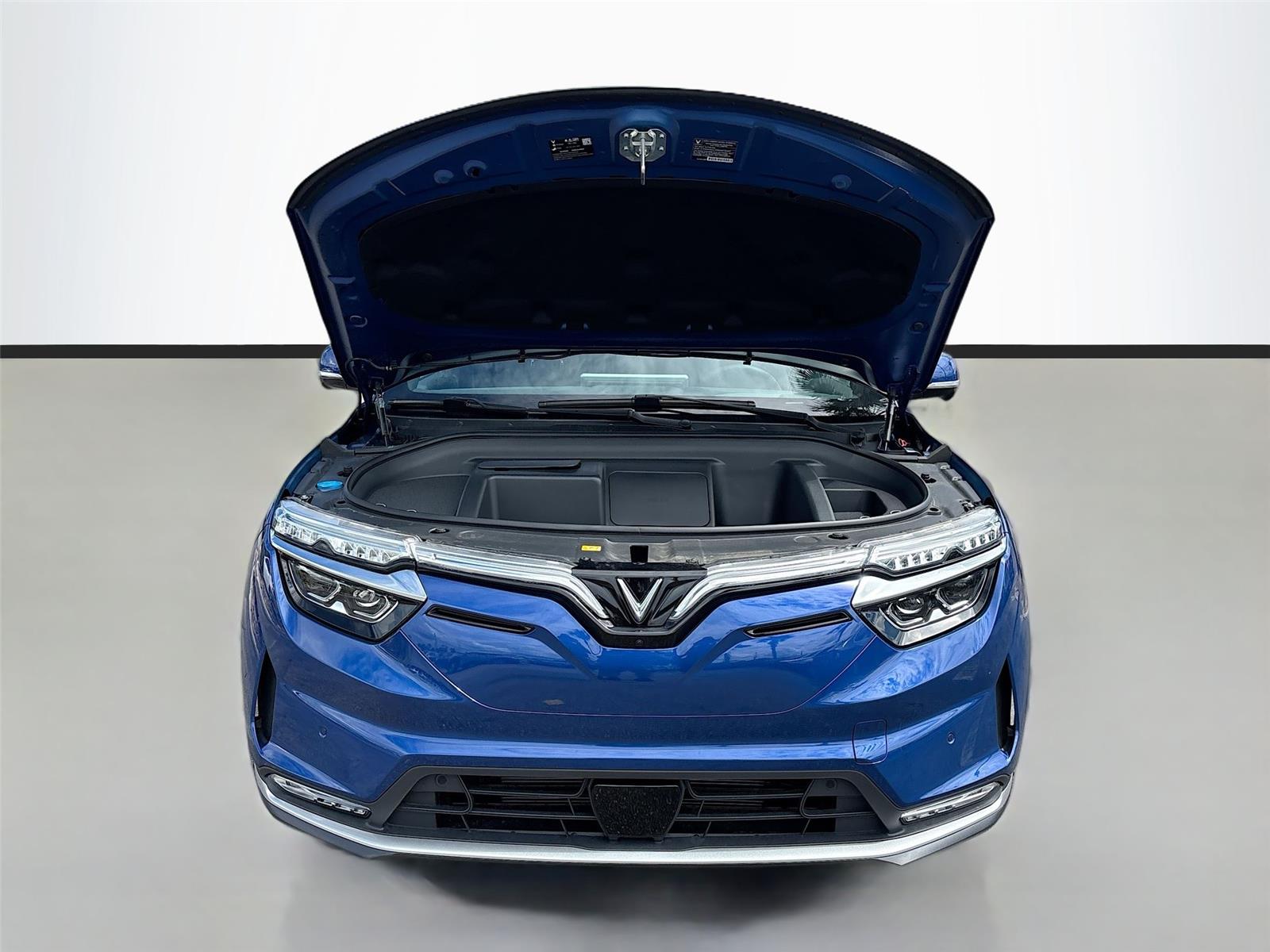 2025 VinFast VF 8 Plus