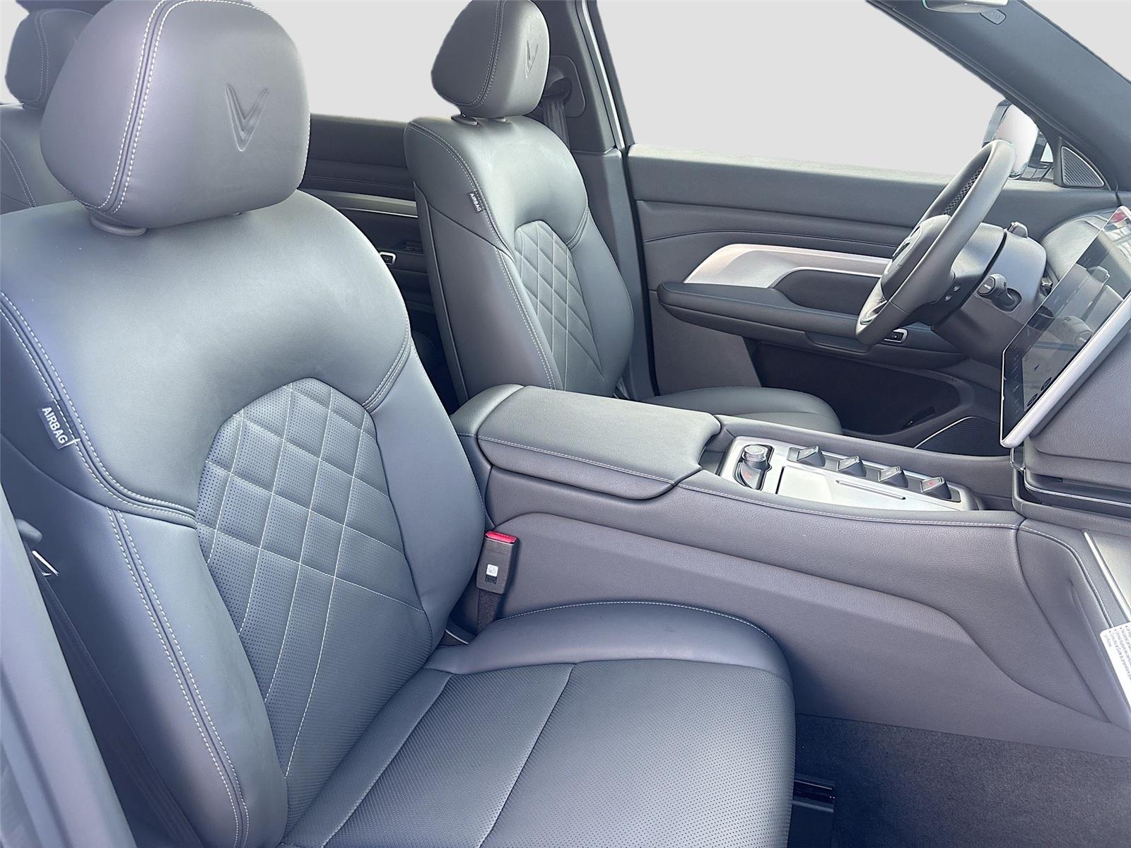 2024 VinFast VF 9 Plus