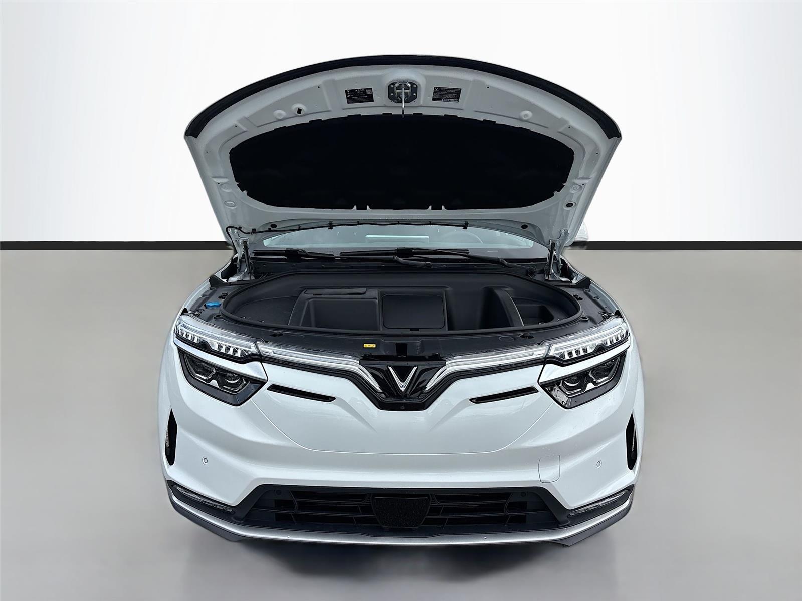 2025 VinFast VF 8 Eco