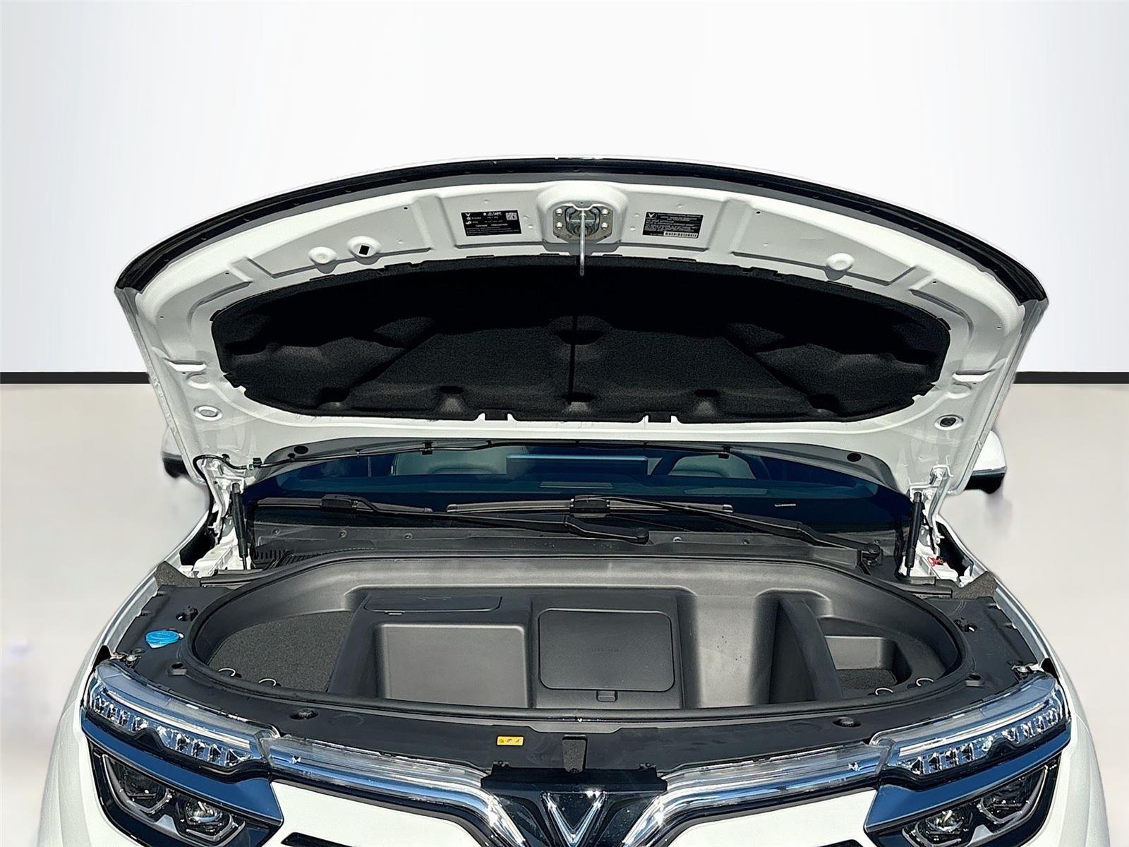 2025 VinFast VF 8 Eco
