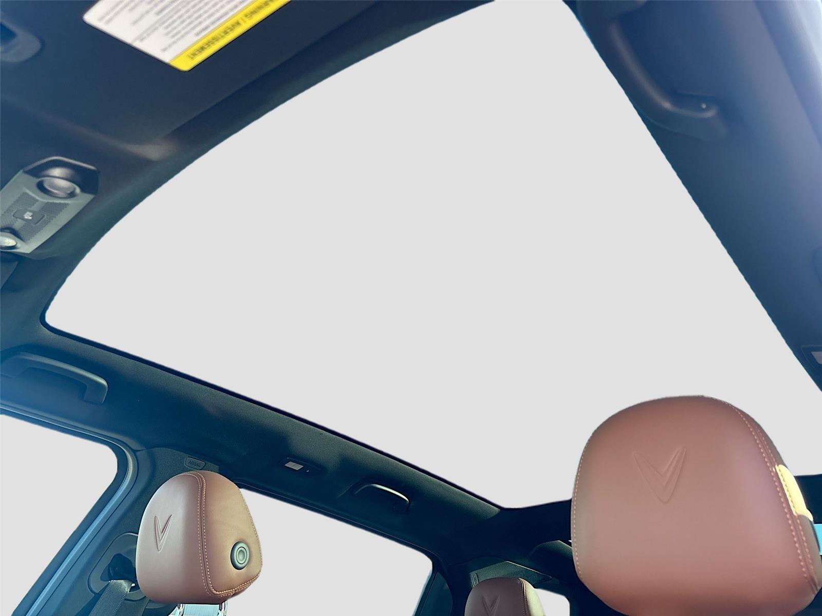 2024 VinFast VF 9 Plus