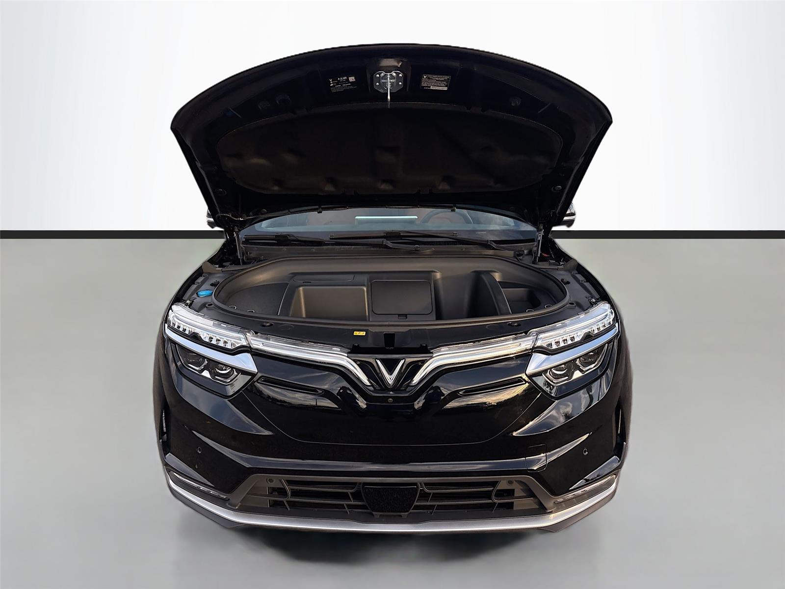 2025 VinFast VF 8 Plus