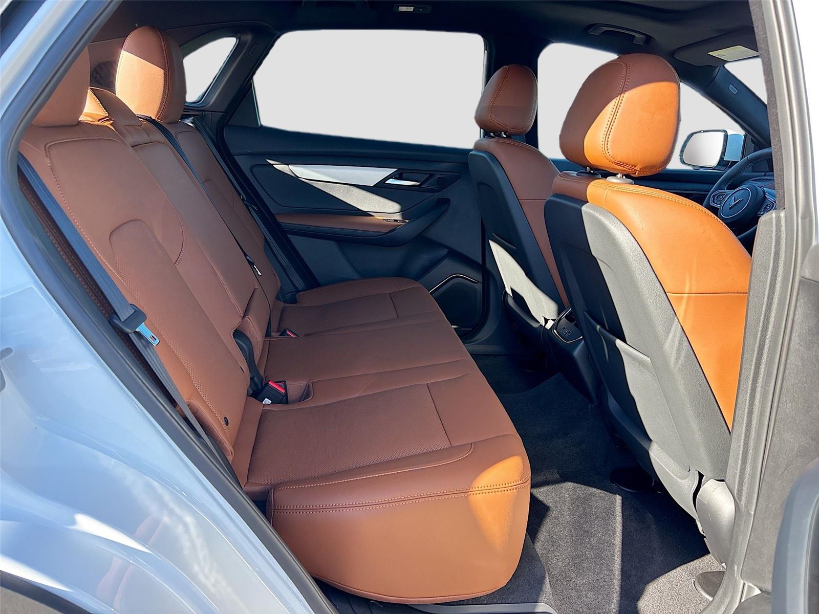 2025 VinFast VF 8 Plus