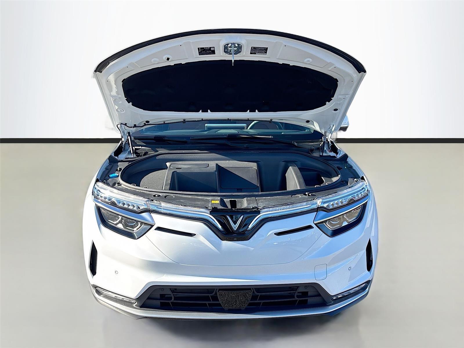 2025 VinFast VF 8 Plus