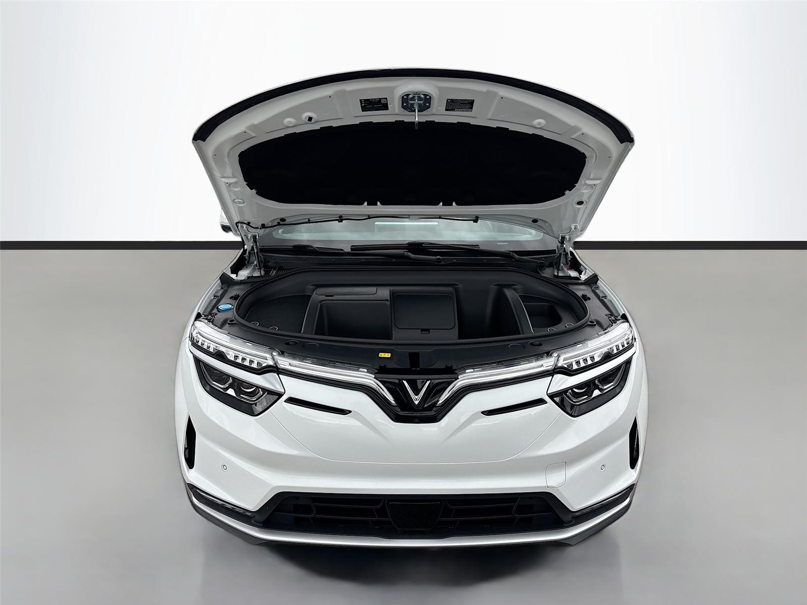 2025 VinFast VF 8 Plus