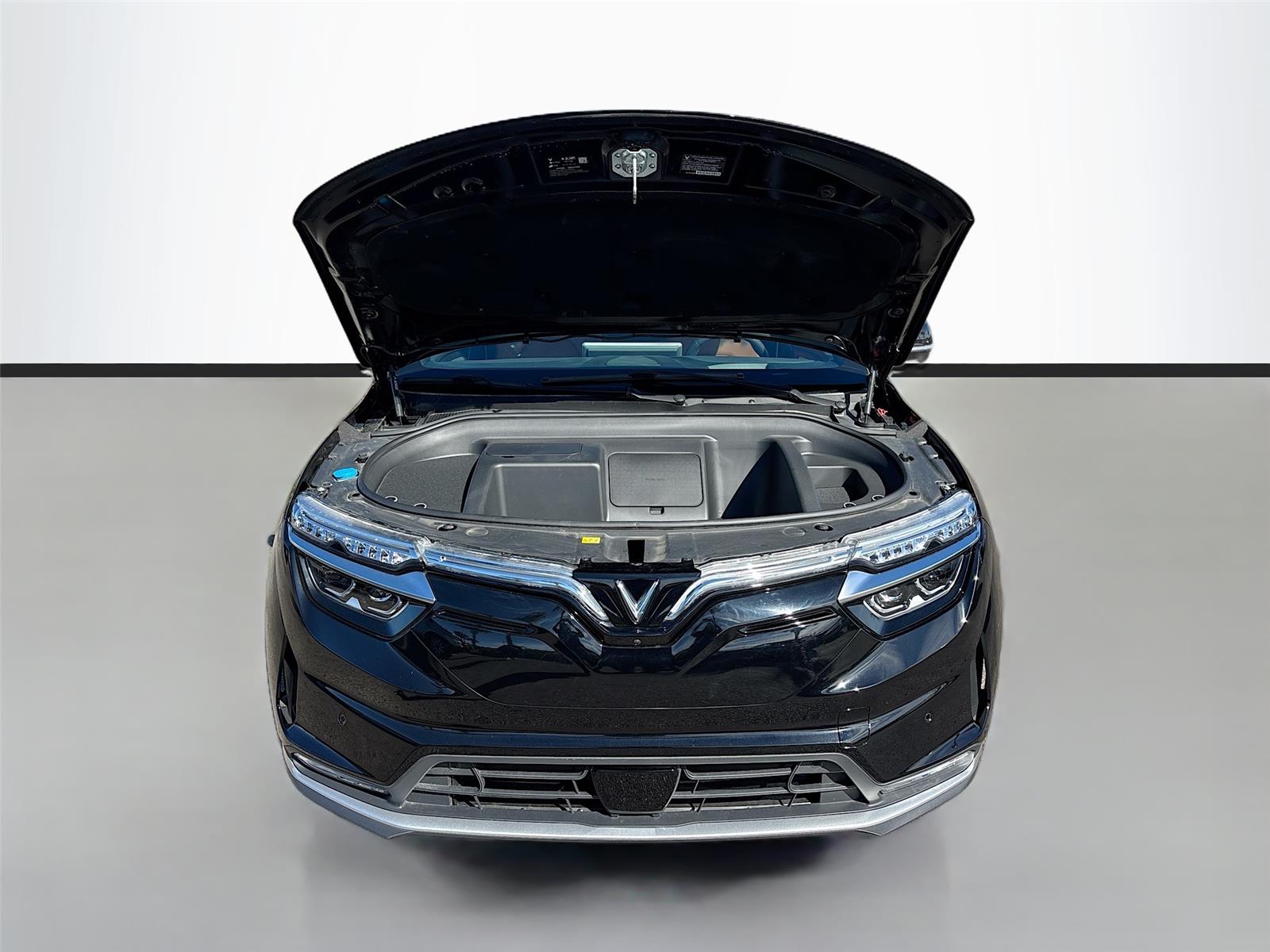 2025 VinFast VF 8 Plus